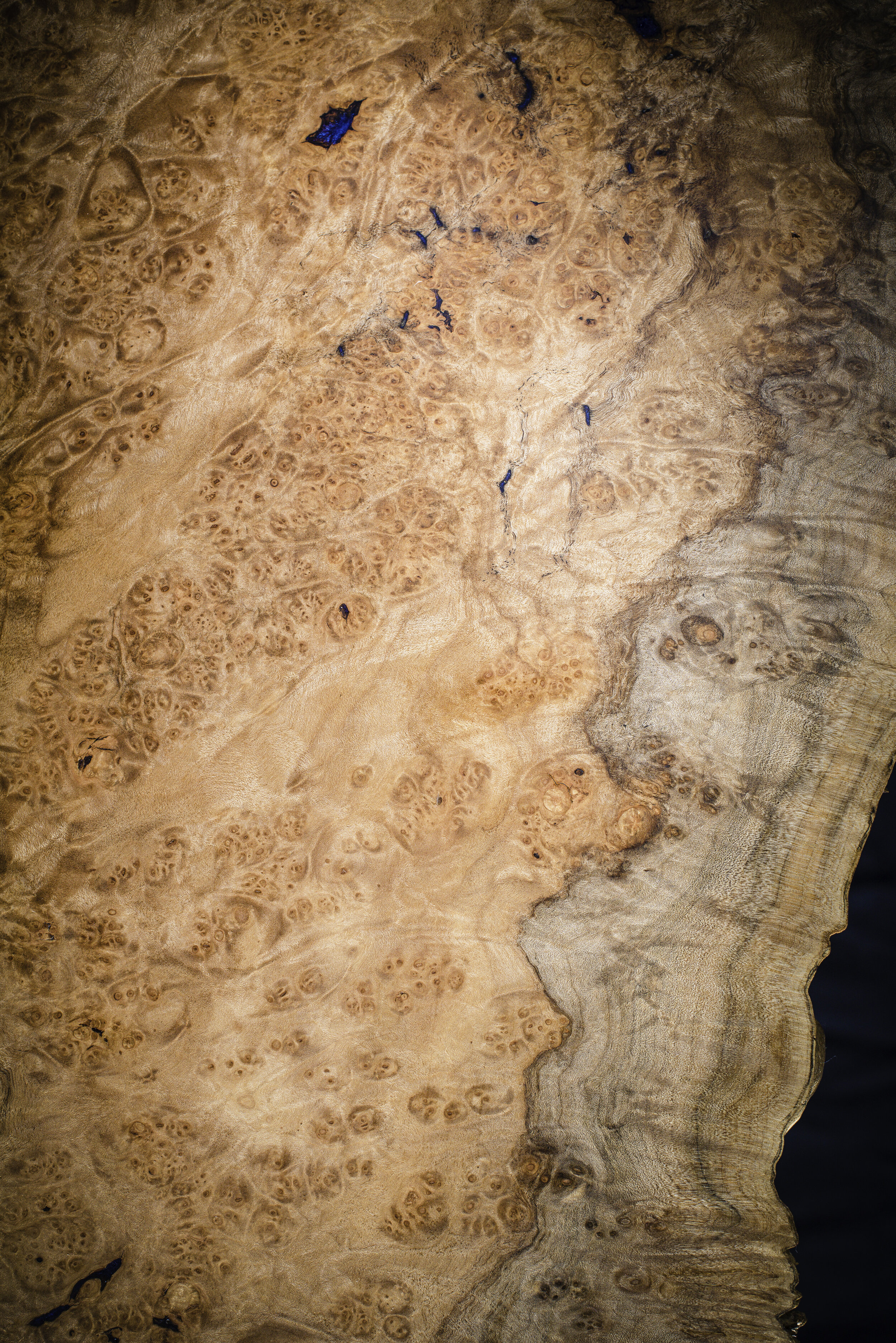 Maple Burl Coffee Table