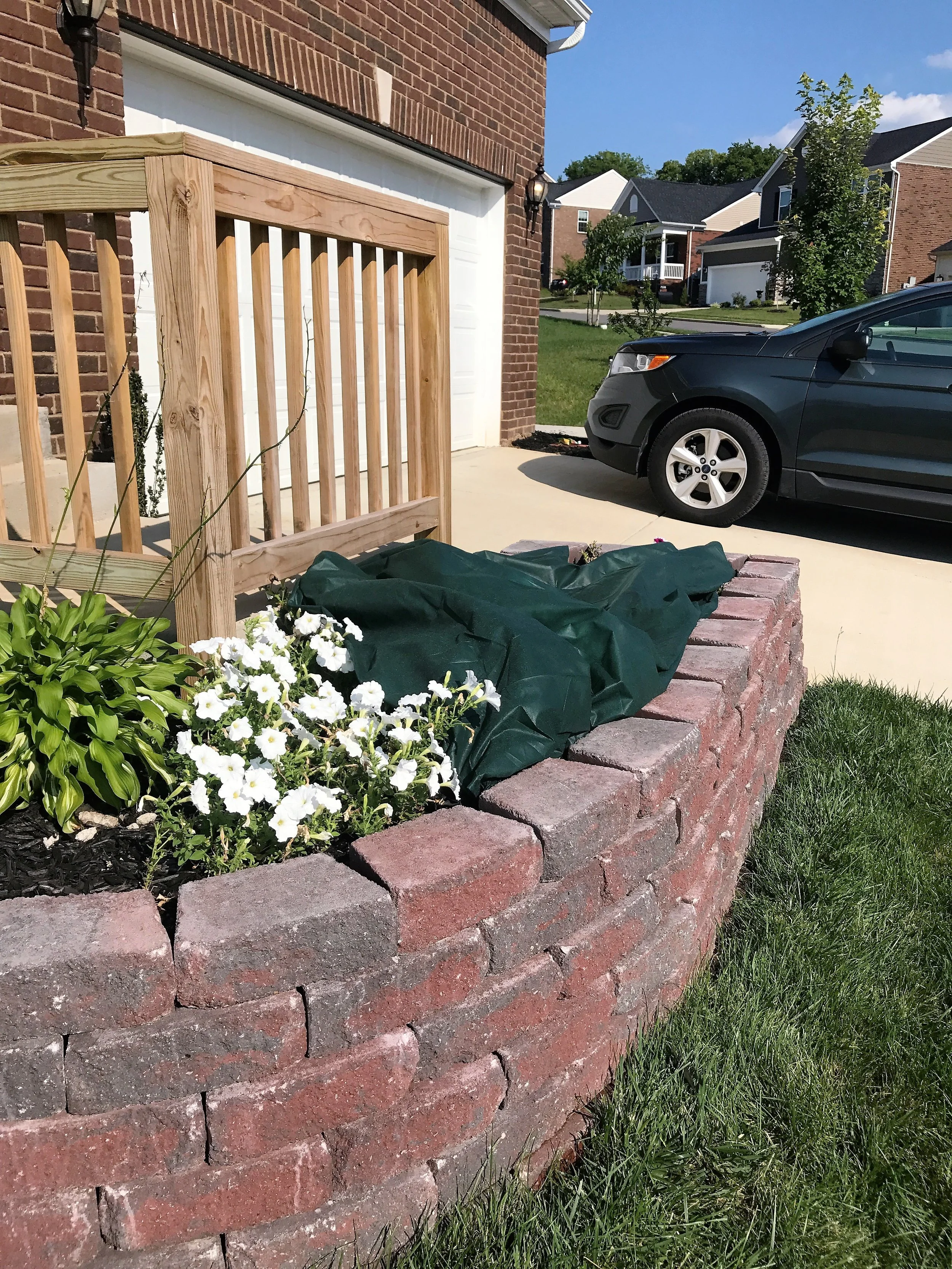 Frost Blanket for Flowerbed