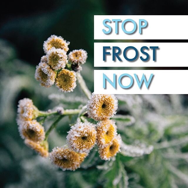 Don&rsquo;t let your freshly planted #plants get damaged by #frost 
We are having a 30% off sale on our Frost Protection bags and blankets! 
Link in Bio! 
#frostprotection #flowers #bushes #landscape #garden #flowerbed #flower #gardenarmor #frostarmo