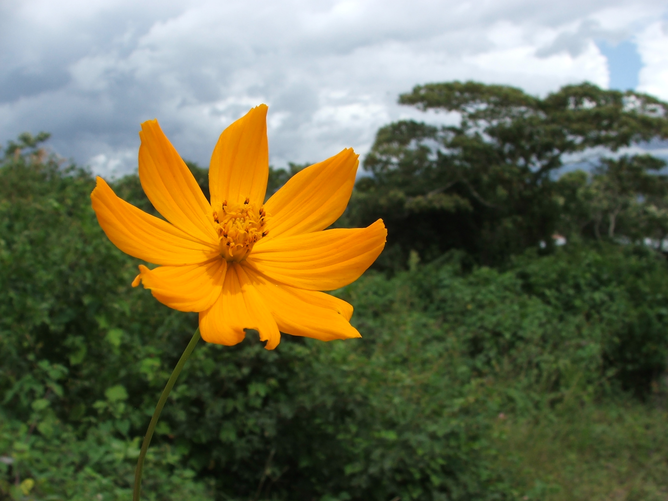 DSCF9522.jpg