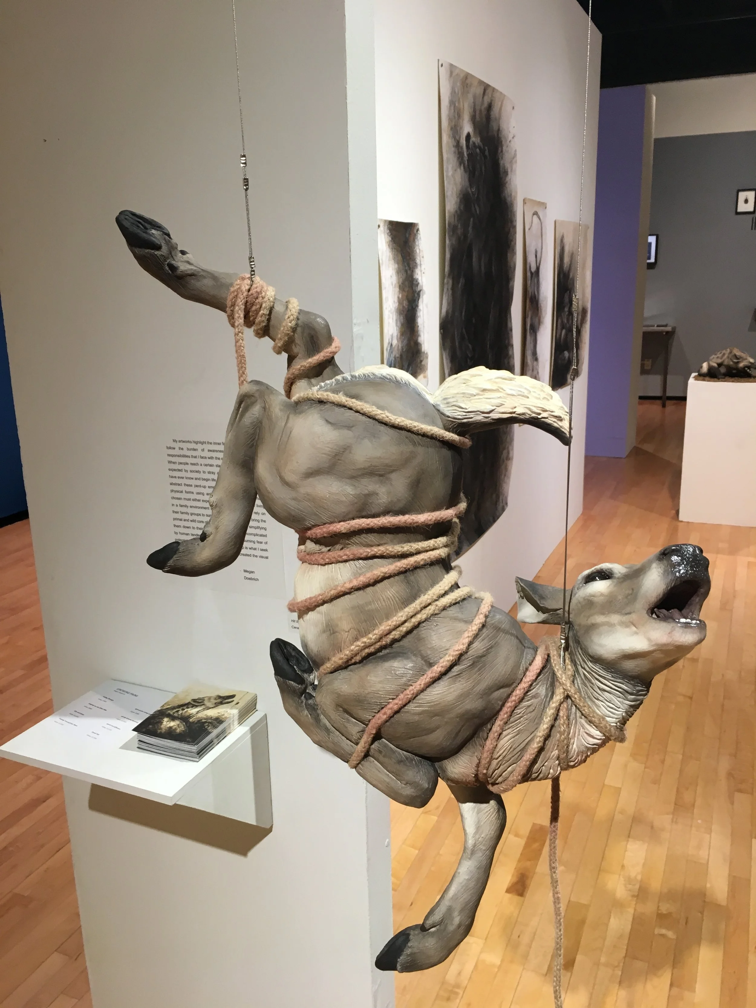 Megan Doebrich  (1).JPG