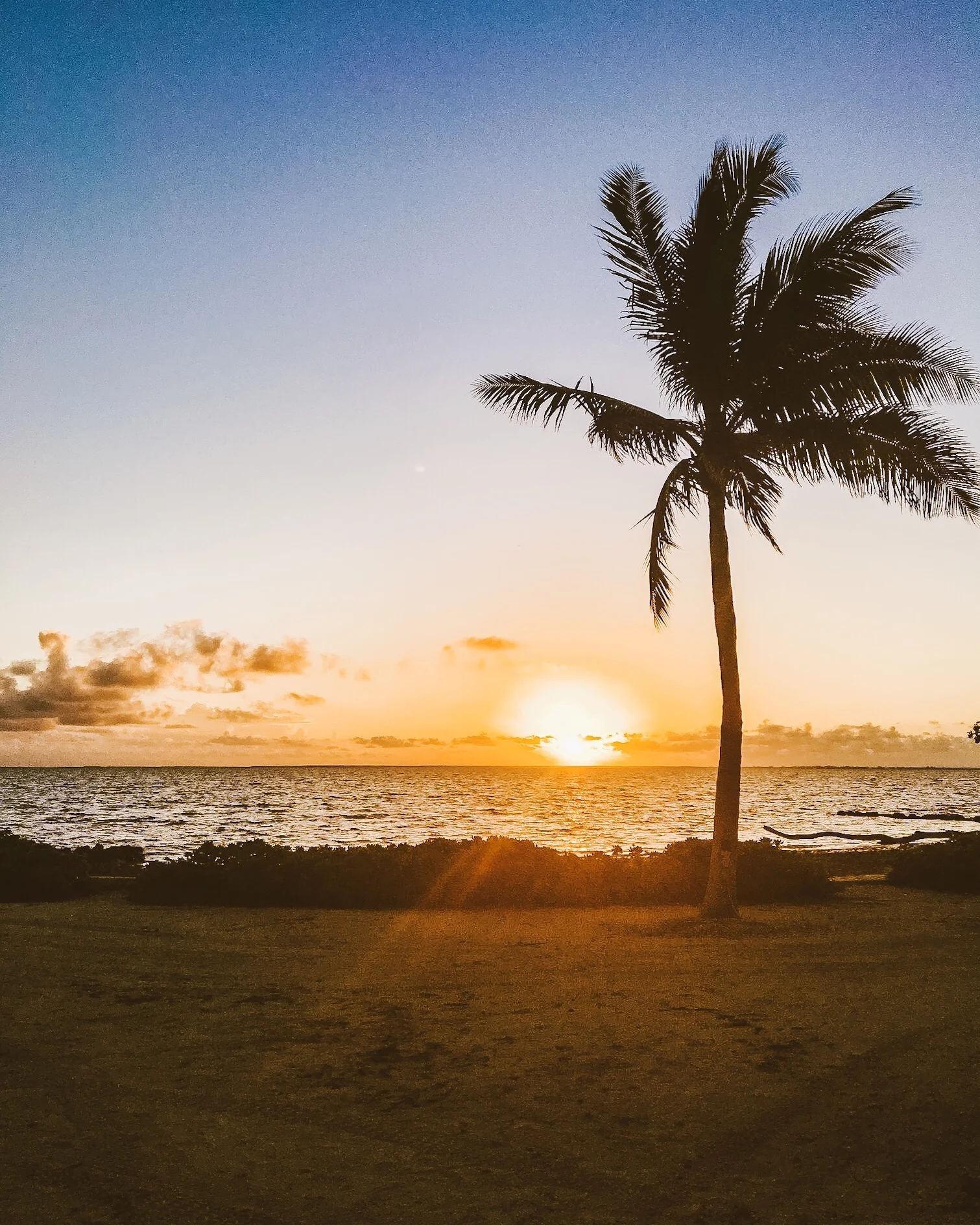 Grand Cayman, B.W.I.