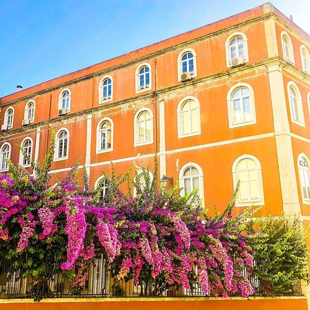 Lisbon has completely blown me away. Passed this building on my walk to the train station on a side street. Can you even believe this was on a random side street? 🍊🌸🍊🌺🍊