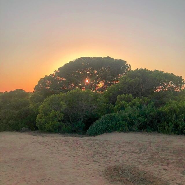 Sunset in the Algarve is beautiful!! 🌄 The cliffs tend to get crowded with tourists but just walk along the path until you find your own little spot. What a peaceful reminder of our incredible world!