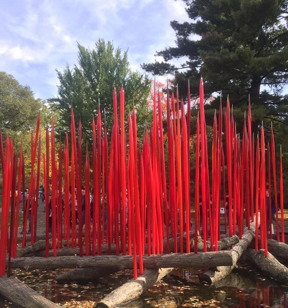 chihuly-nybg.jpg
