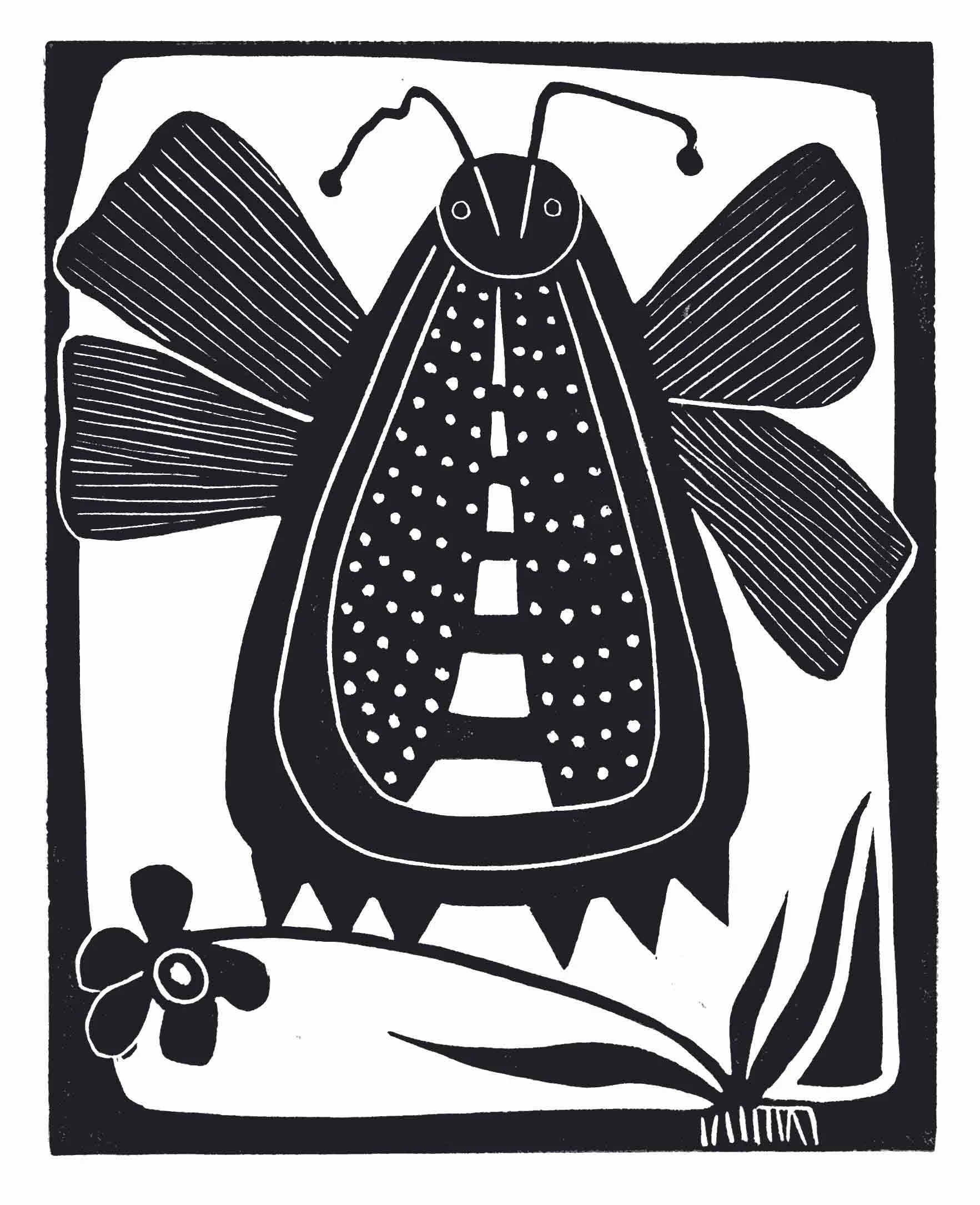 lbd_bug_9_26_4A.jpg