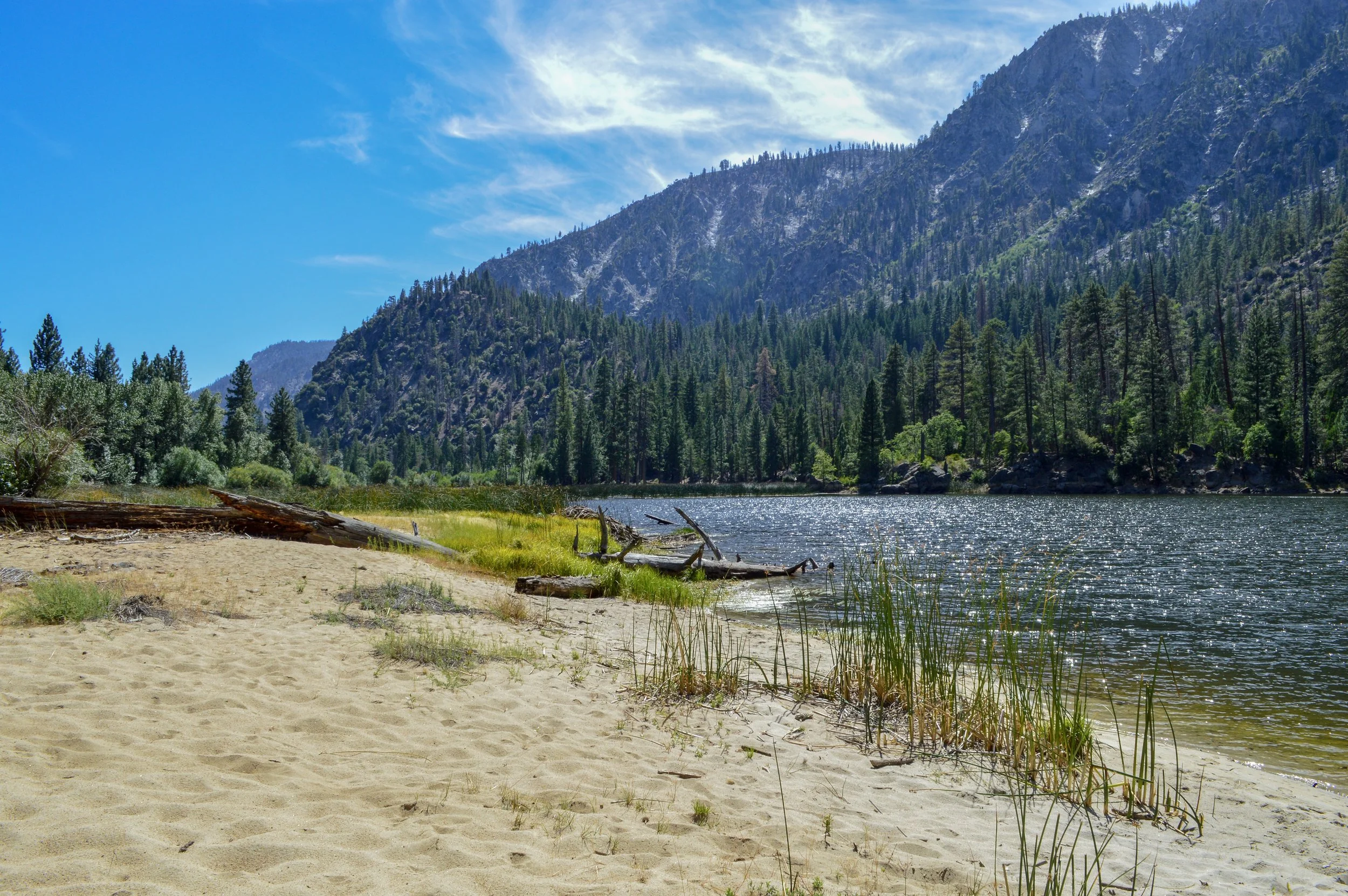 DSC_0201.jpg
