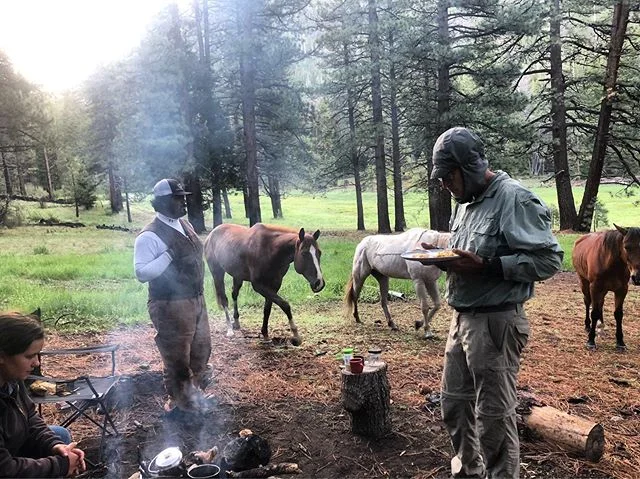 No bell like the breakfast bell out here. GTWP horses have a finely developed sense of smell it seems...
