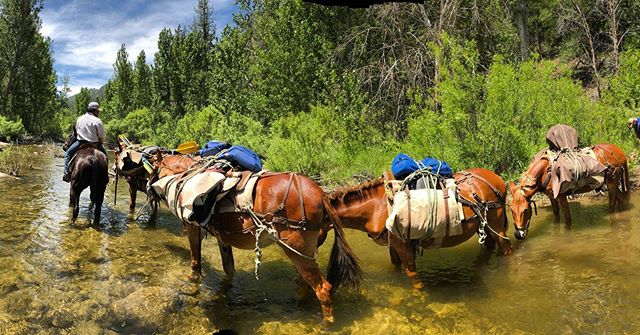 Dropping some rafts at Forks of the Kern. Not a horse person? Hit the water with one of the excellent guide crews (@kernriver_mra @kernriveroutfitters @whitewatervoyages )and thank a mule for packin’ it down!