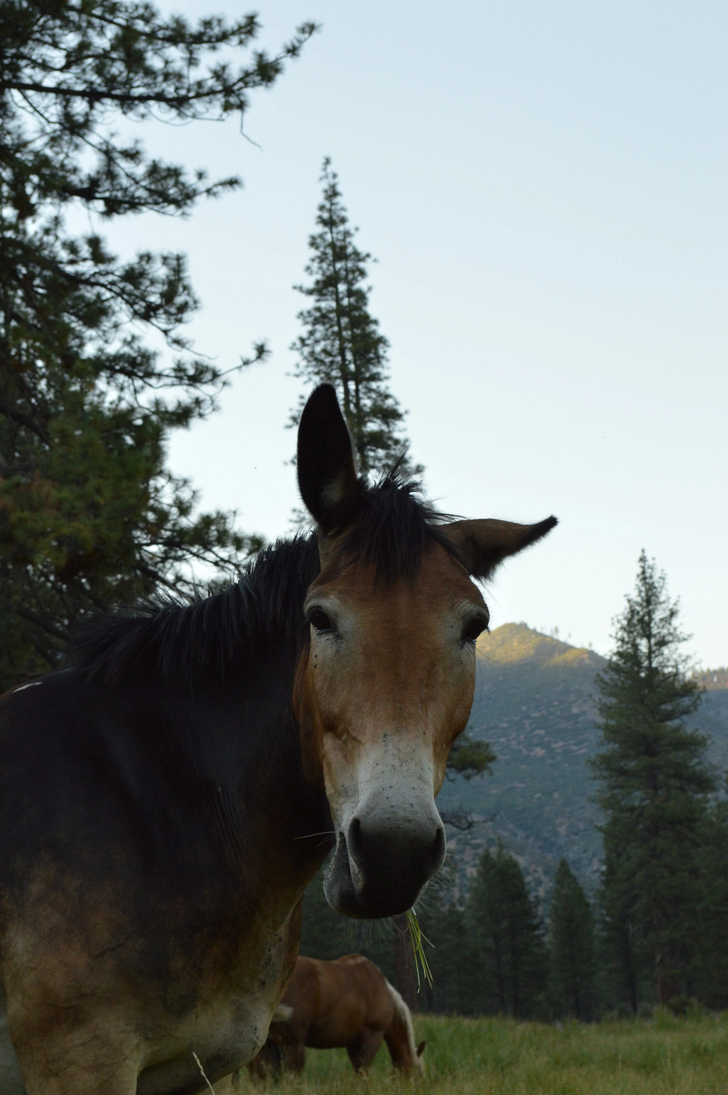 DSC_0621.JPG