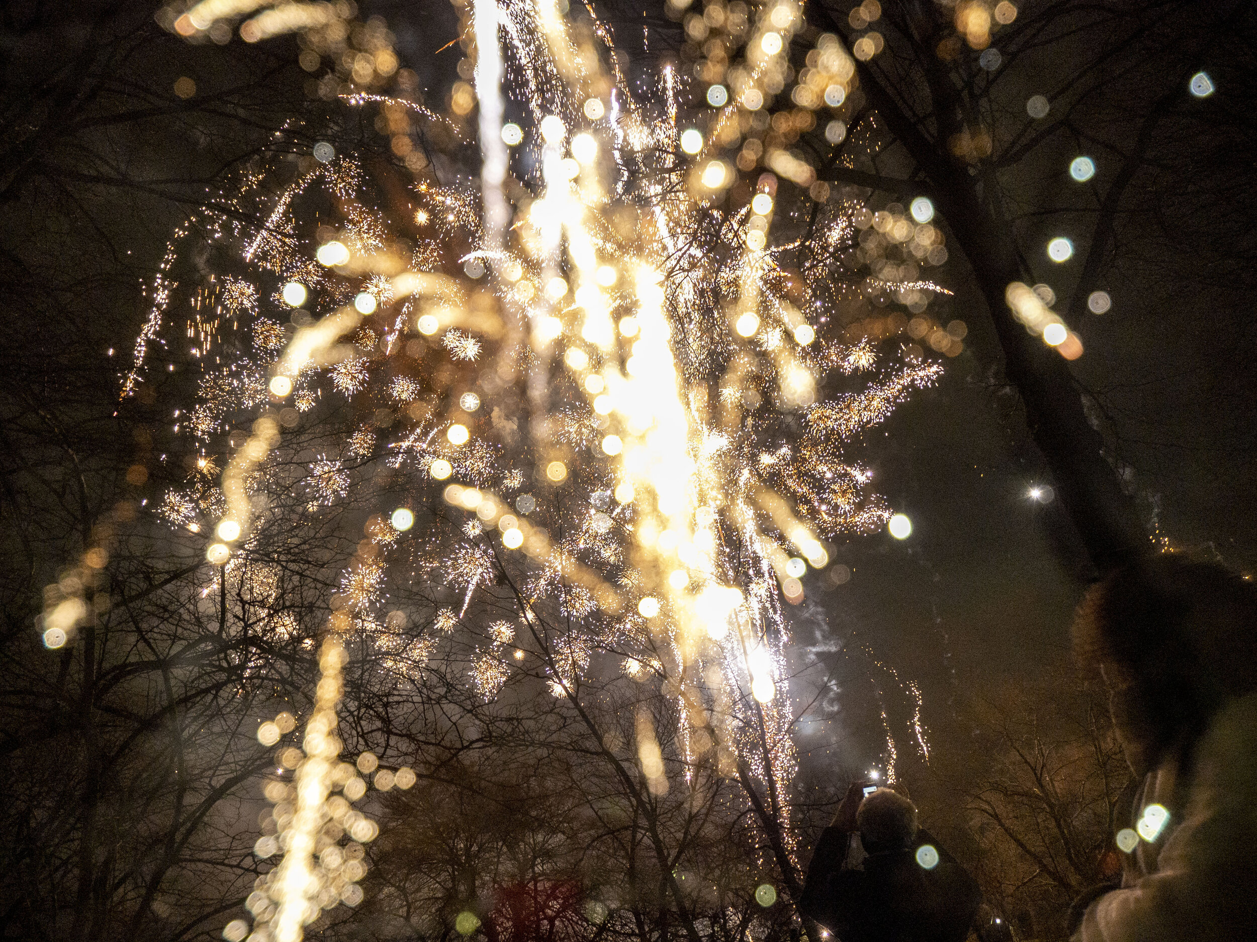 New Years Eve Fireworks - White.jpg