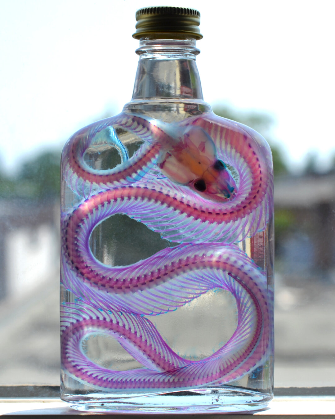 GAMBLING FLASK BALL PYTHON
