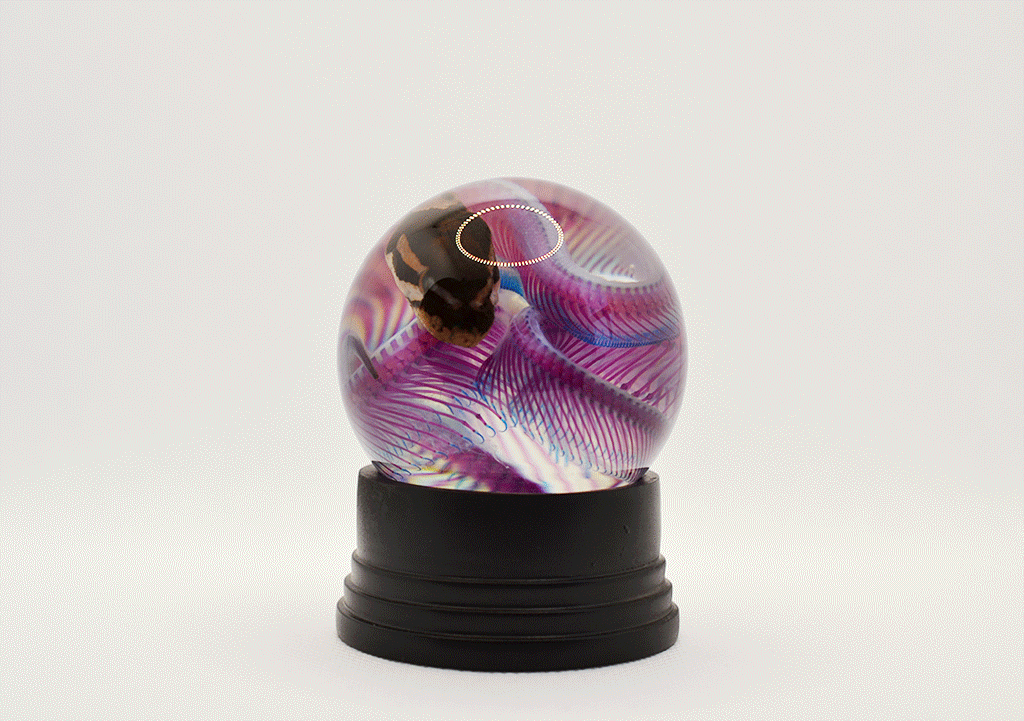 DOUBLE STAINED BALL PYTHON IN GLASS DOME