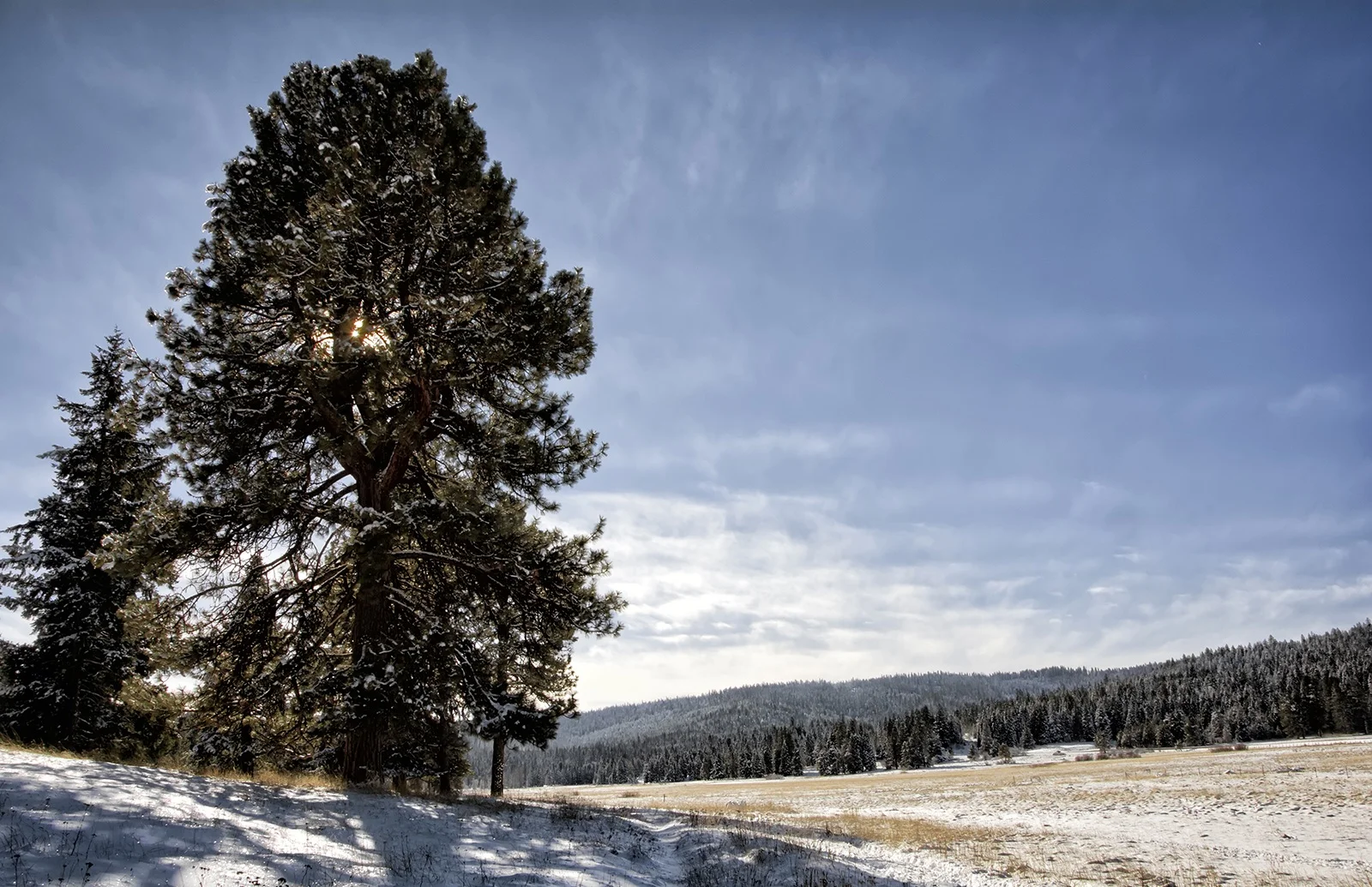 Vesper+Meadow+winter+afternoon+1600_DSC0150.jpg