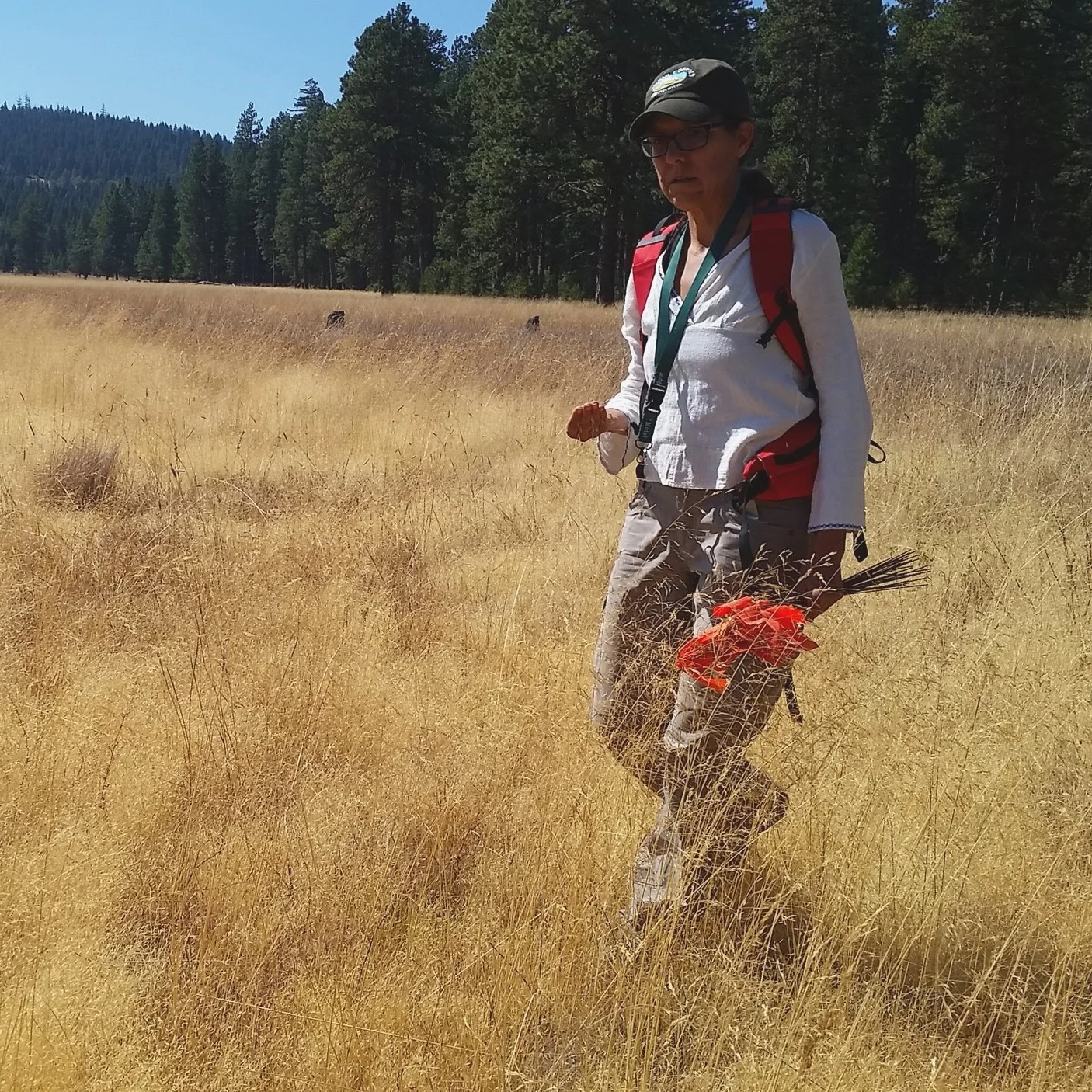restoration-field-work.jpg