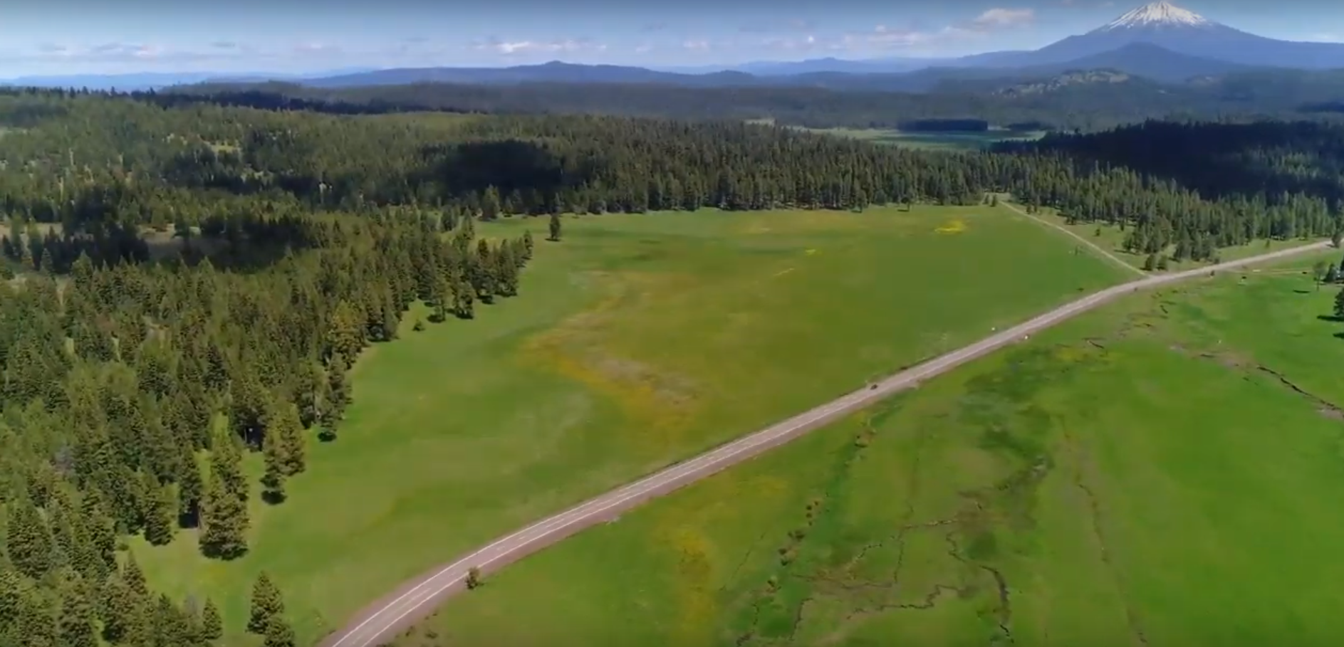 Through our people-powered restoration efforts, we are building a demonstration site for ecological rewilding, and place-based education programs.