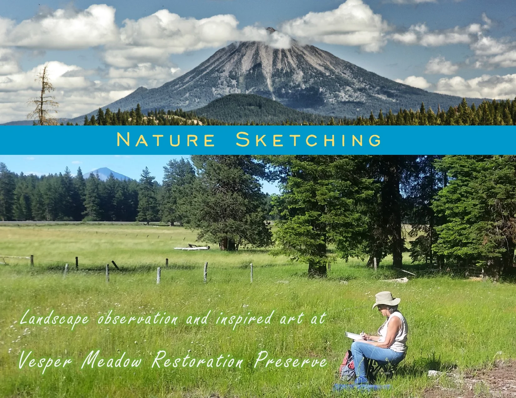 Nature-Sketching.jpg