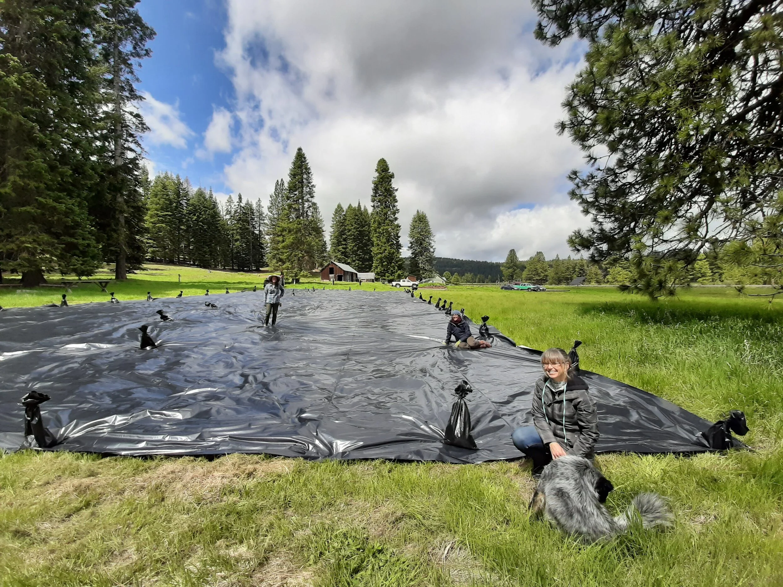 Restoration of First Foods