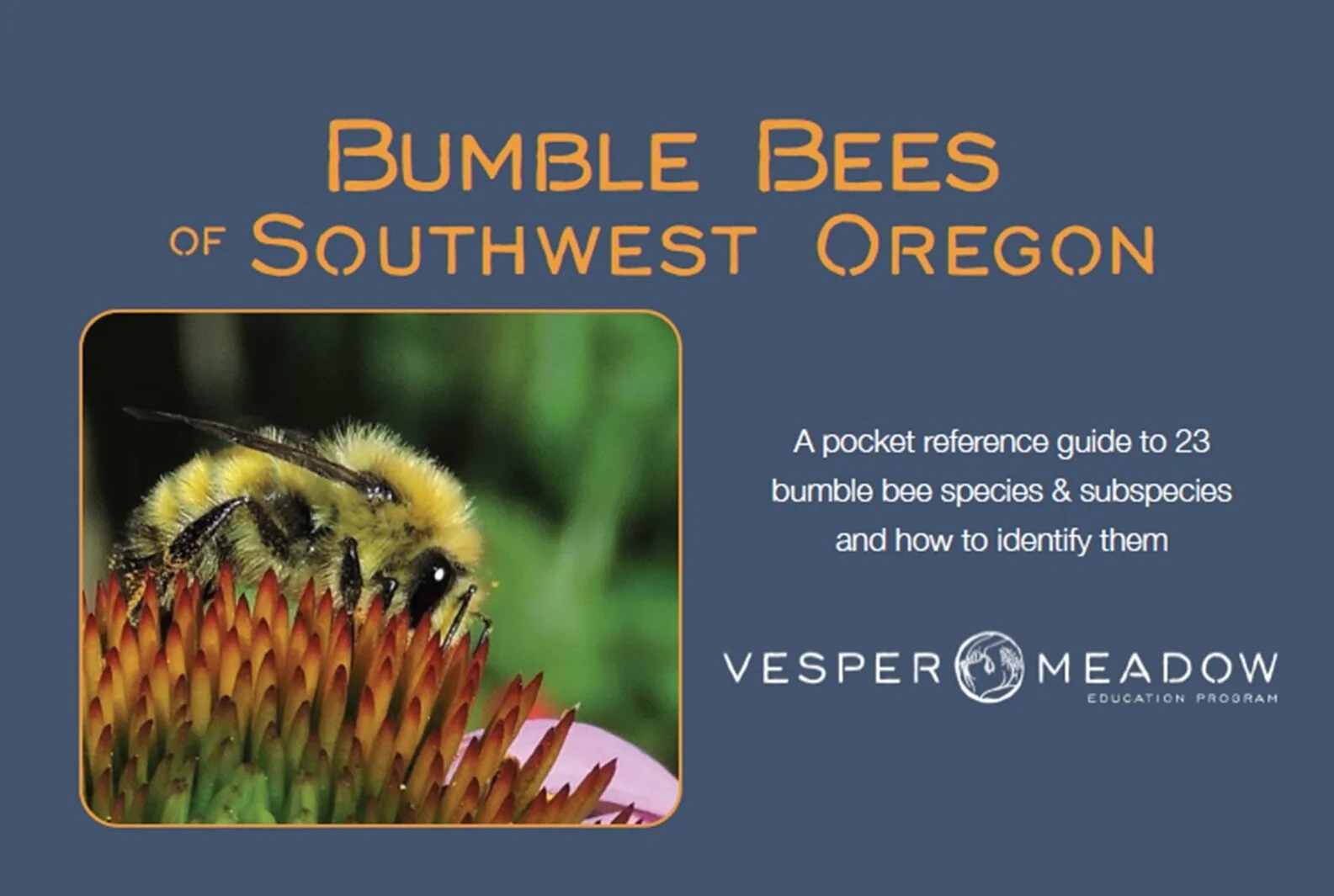 Introducing the Bumble Bees of Southwest Oregon pocket field guide