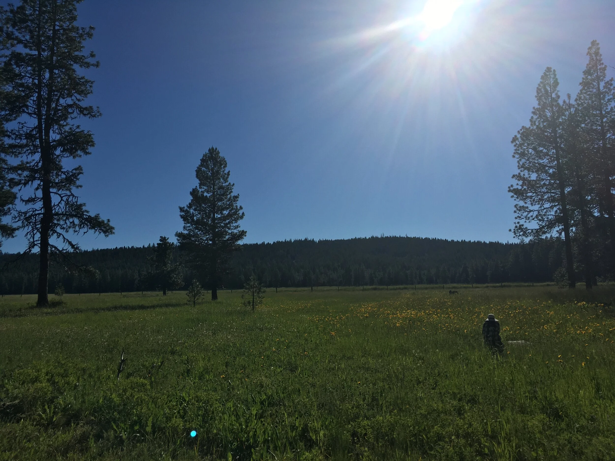 The dawn of the Indigenous Gardens Network