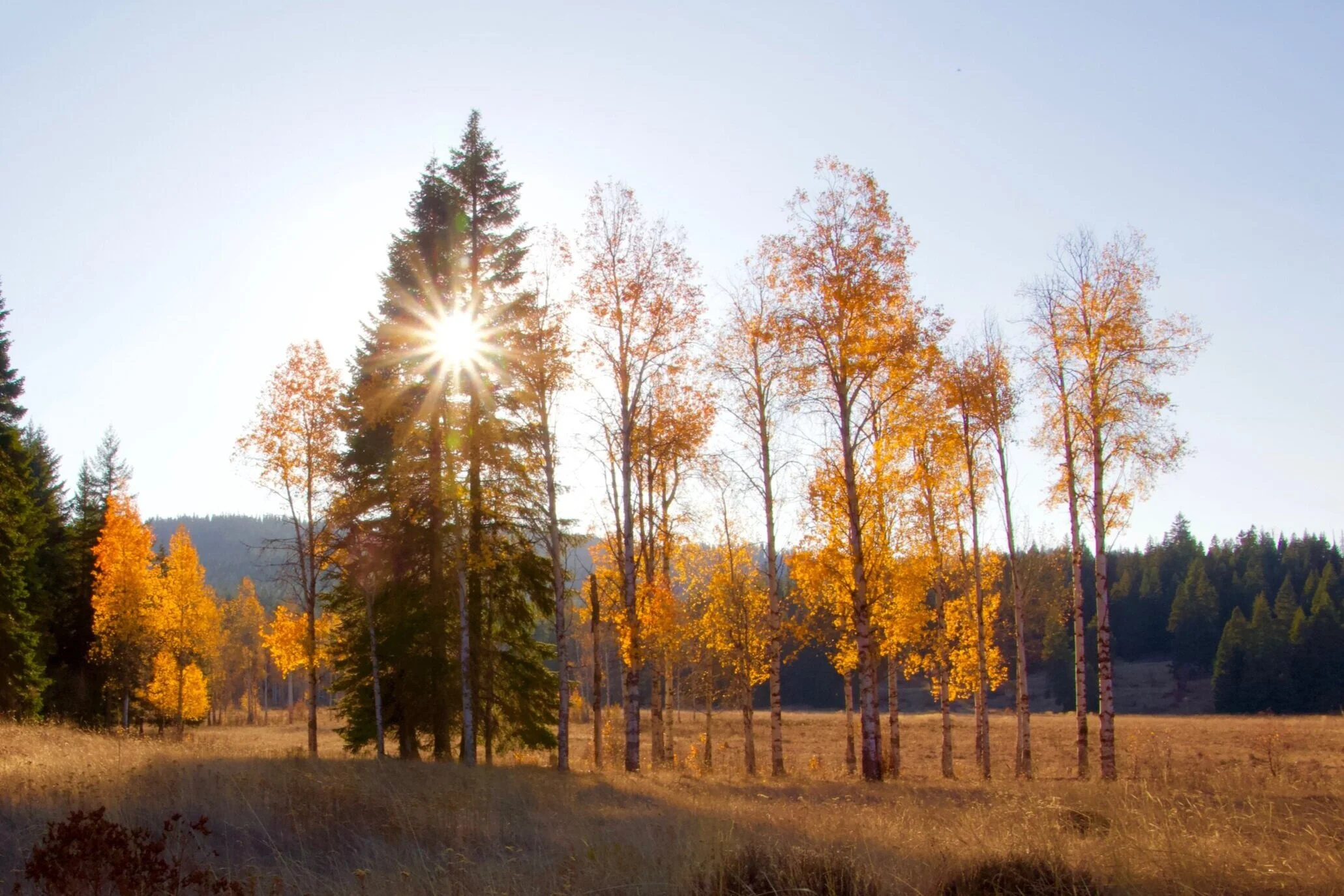 Indigenous, traditional and local knowledge: Engaging equitably with diverse ways of knowing