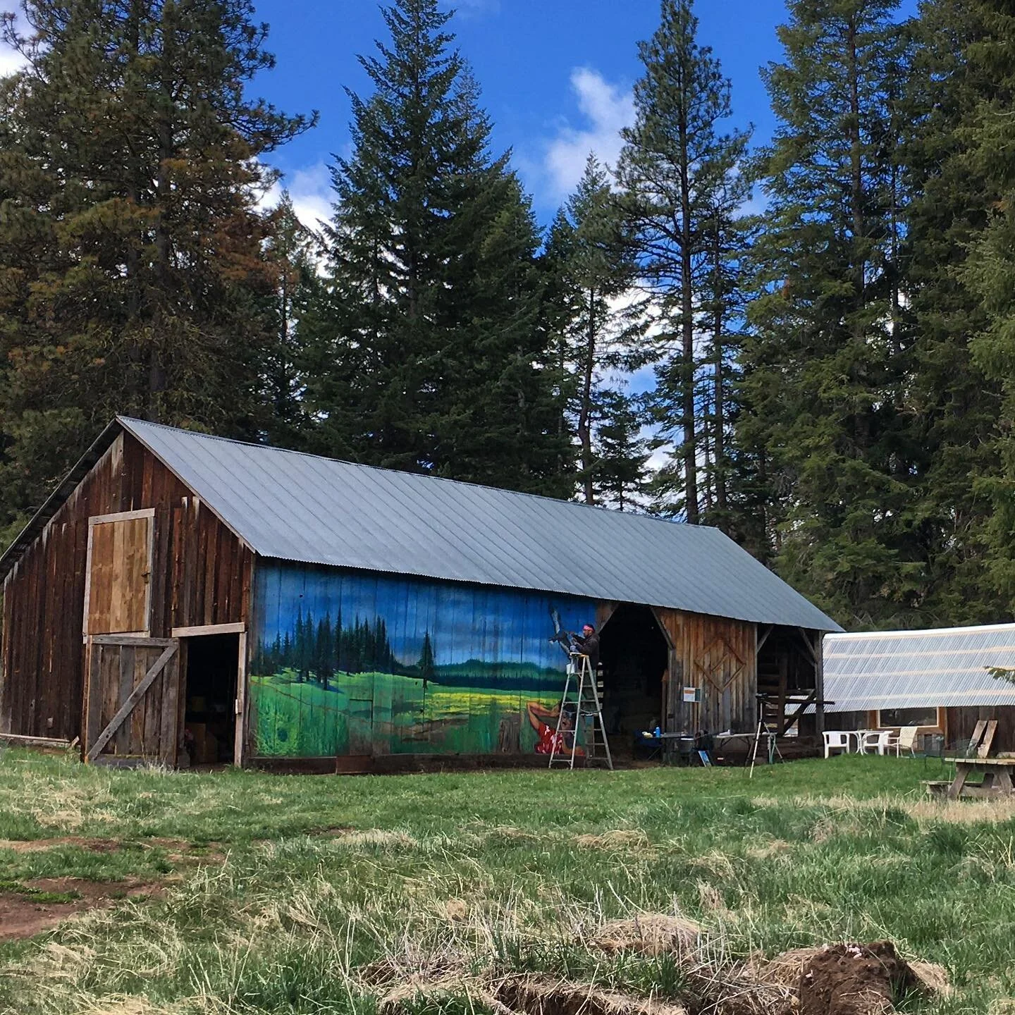 The "Trillium" Mural: Painting the Vesper Meadow Vision