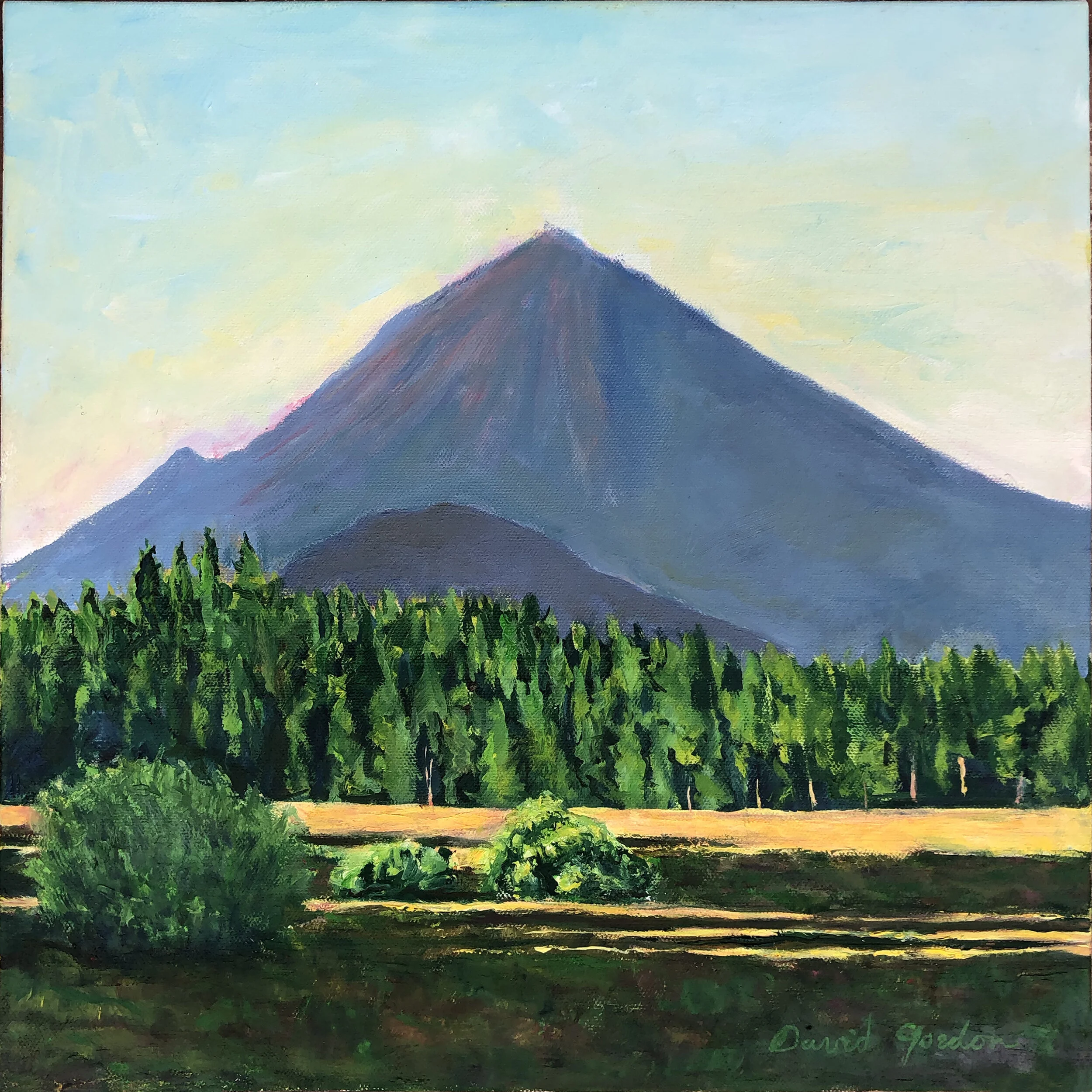 Art on the Land: David Gordon, Artist-in-Partnership spotlight 2021