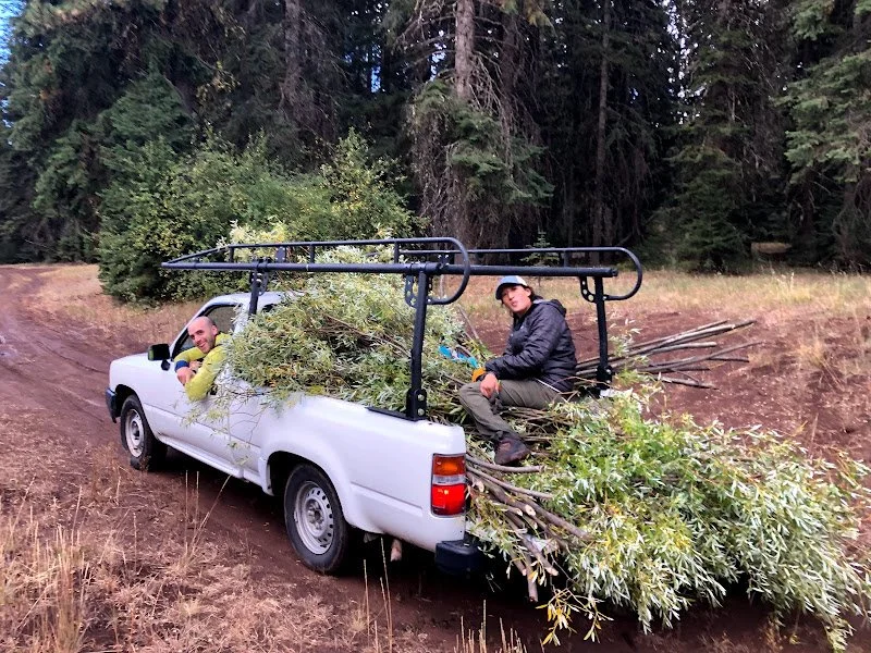 Reflections of an Urban landscape architect