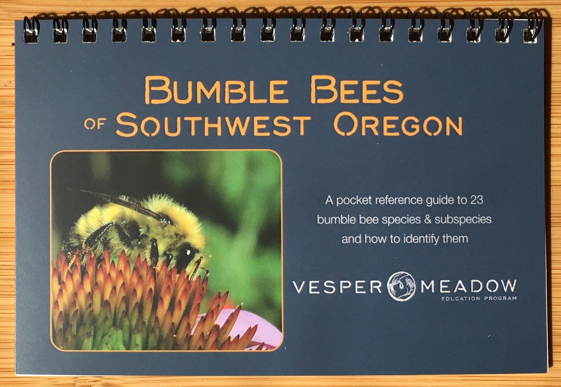 Bumble-Bee-Guide.jpg