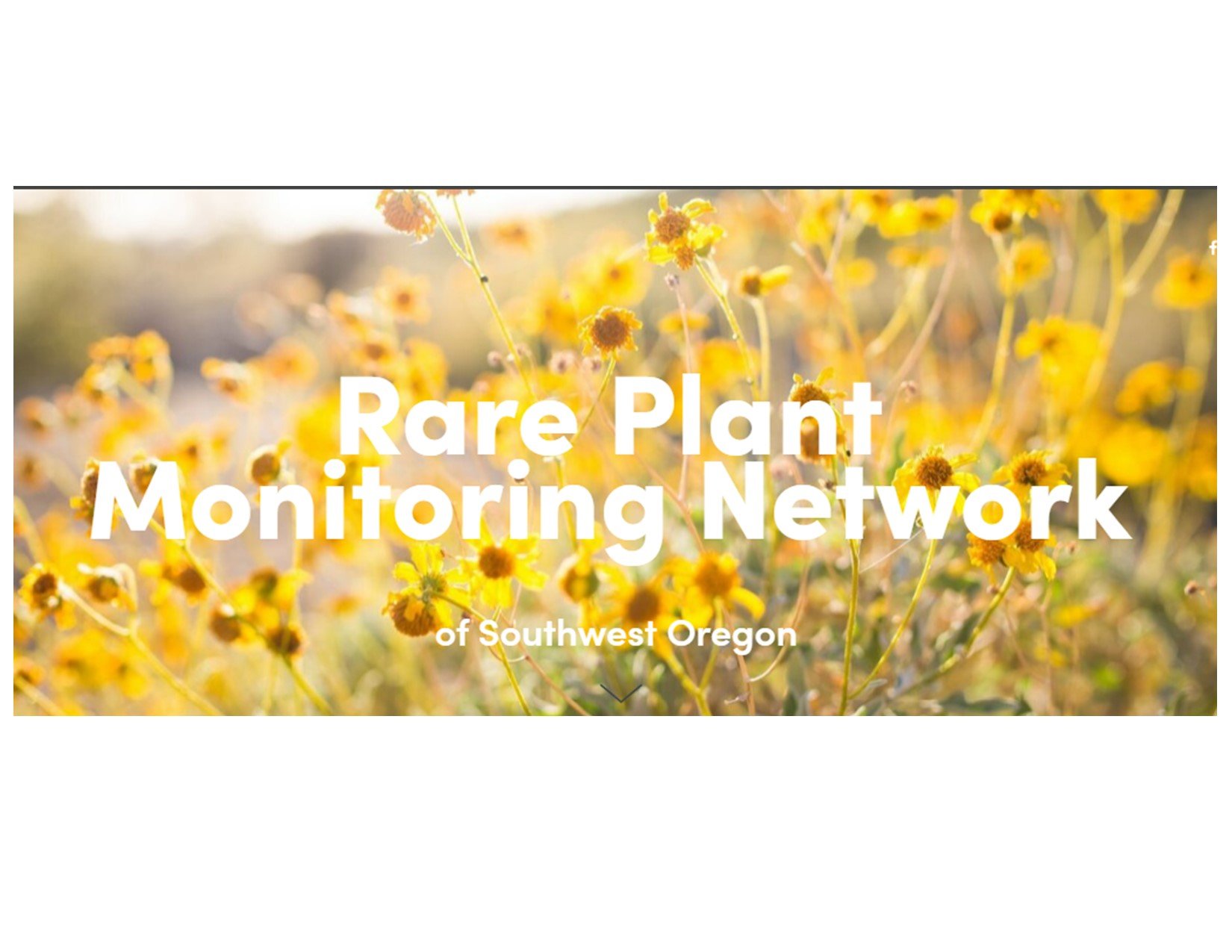 Supporting the Launch of a Southwest Oregon-wide Rare Plant Monitoring Network