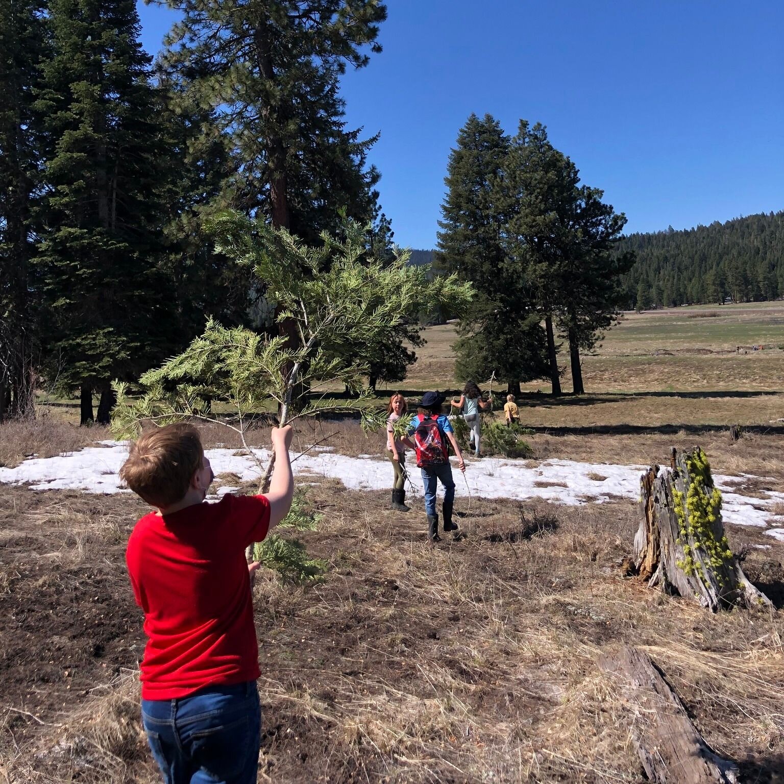 As we roll out our Healing Landscapes program, we'll start sharing Wellness Wednesday posts! One of the ways we're describing the program is, &quot;as we heal the land, the land heals us.&quot; 

Over the last five years of Vesper Meadow, there has n