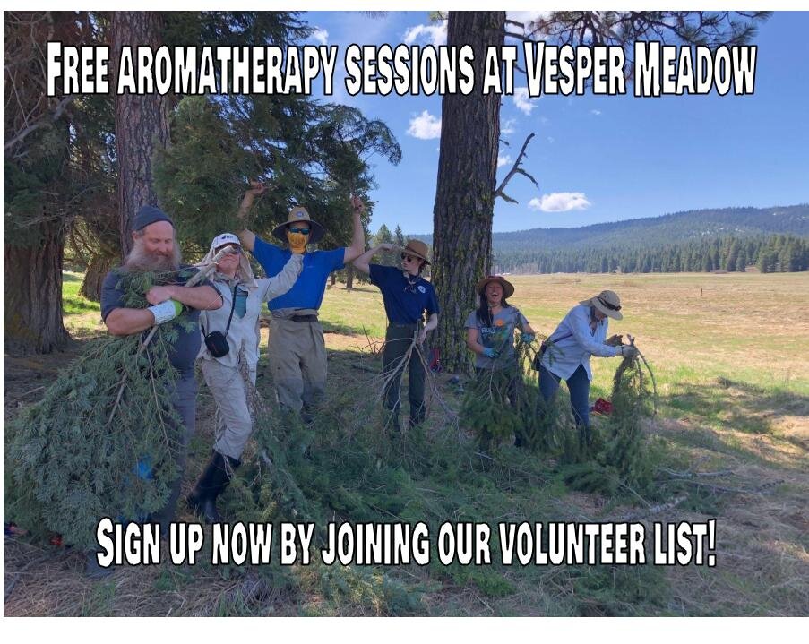 Did you know that by signing up to volunteer at Vesper Meadow you get 1 free aromatherapy session? It's true! Aroma therapy vouchers are redeemable on the same day and time as volunteering. Your aroma therapists will be the pine trees, fresh air, blo
