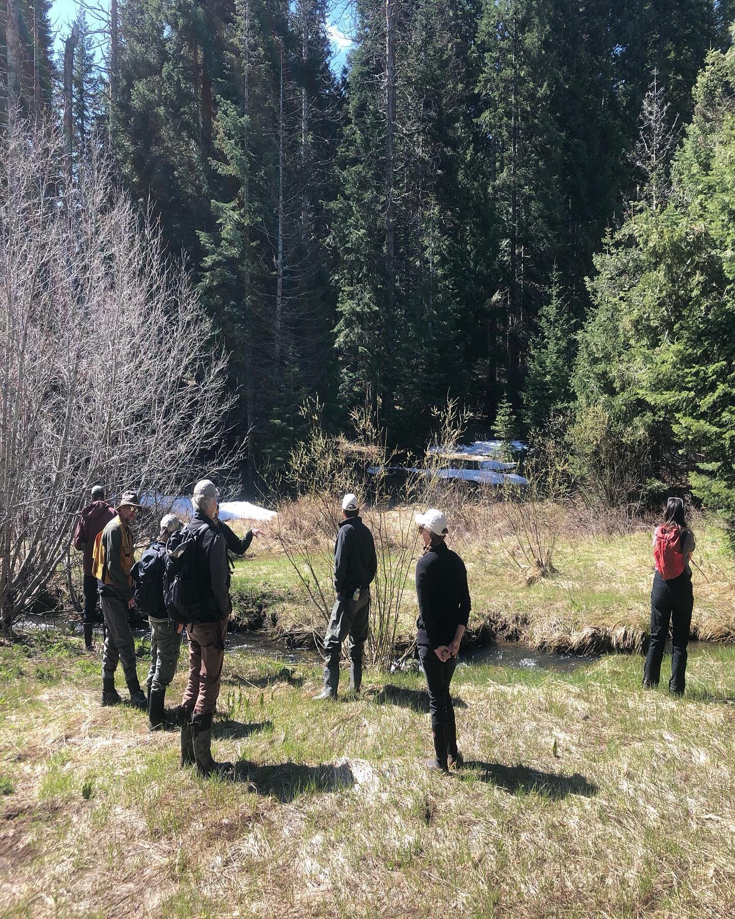 We&rsquo;re lookin go back, but mainly looking forward&hellip;and upstream!

As we spent the day yesterday with partners from the Medford BLM scoping out tributaries to Latgawa Creek for more #lowtechprocessbasedrestoration aka &lsquo;beaver-based&rs