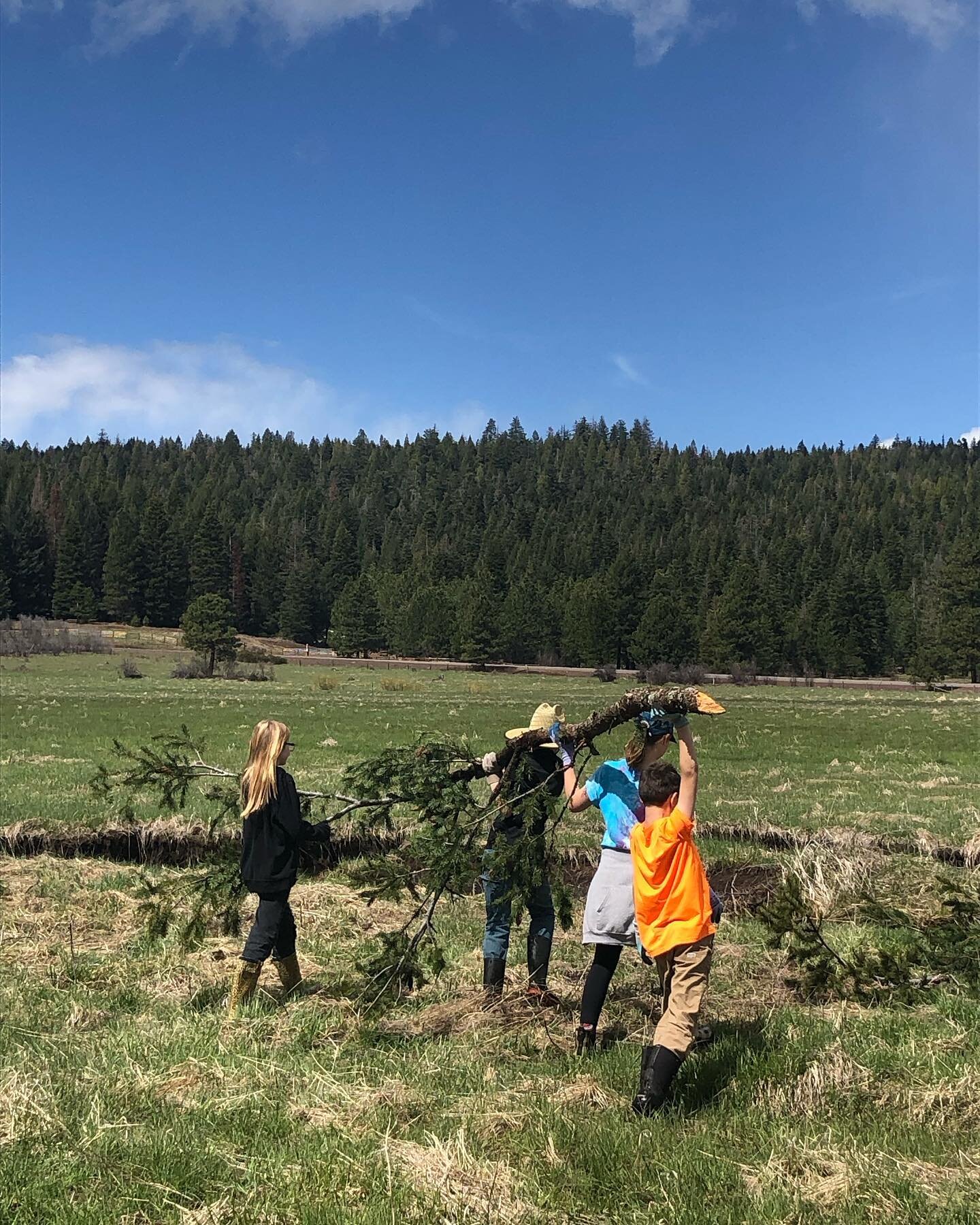 C O M M U N I T Y ☀️🦫🌿 is how land stewardship and restoration tending happens at Vesper Meadow! We build community through education, creativity and art, citizen science, all through hands on experience. 

We have wide range of volunteer and artis