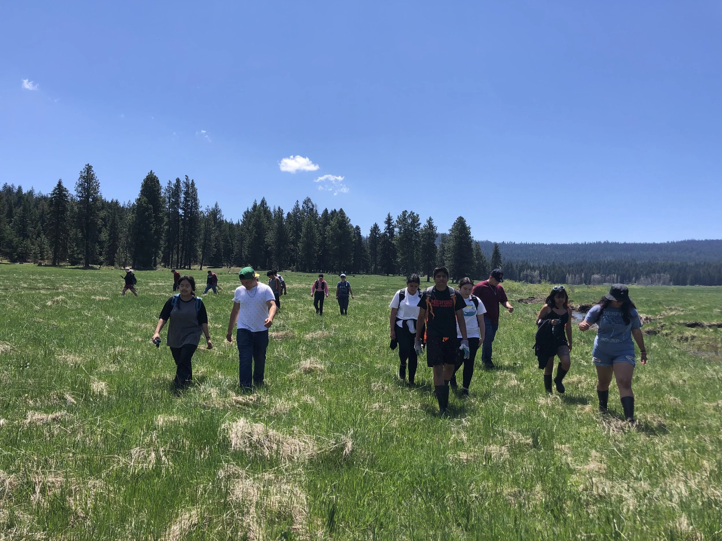 The Inaugural Year of the Healing Landscapes Program at Vesper Meadow