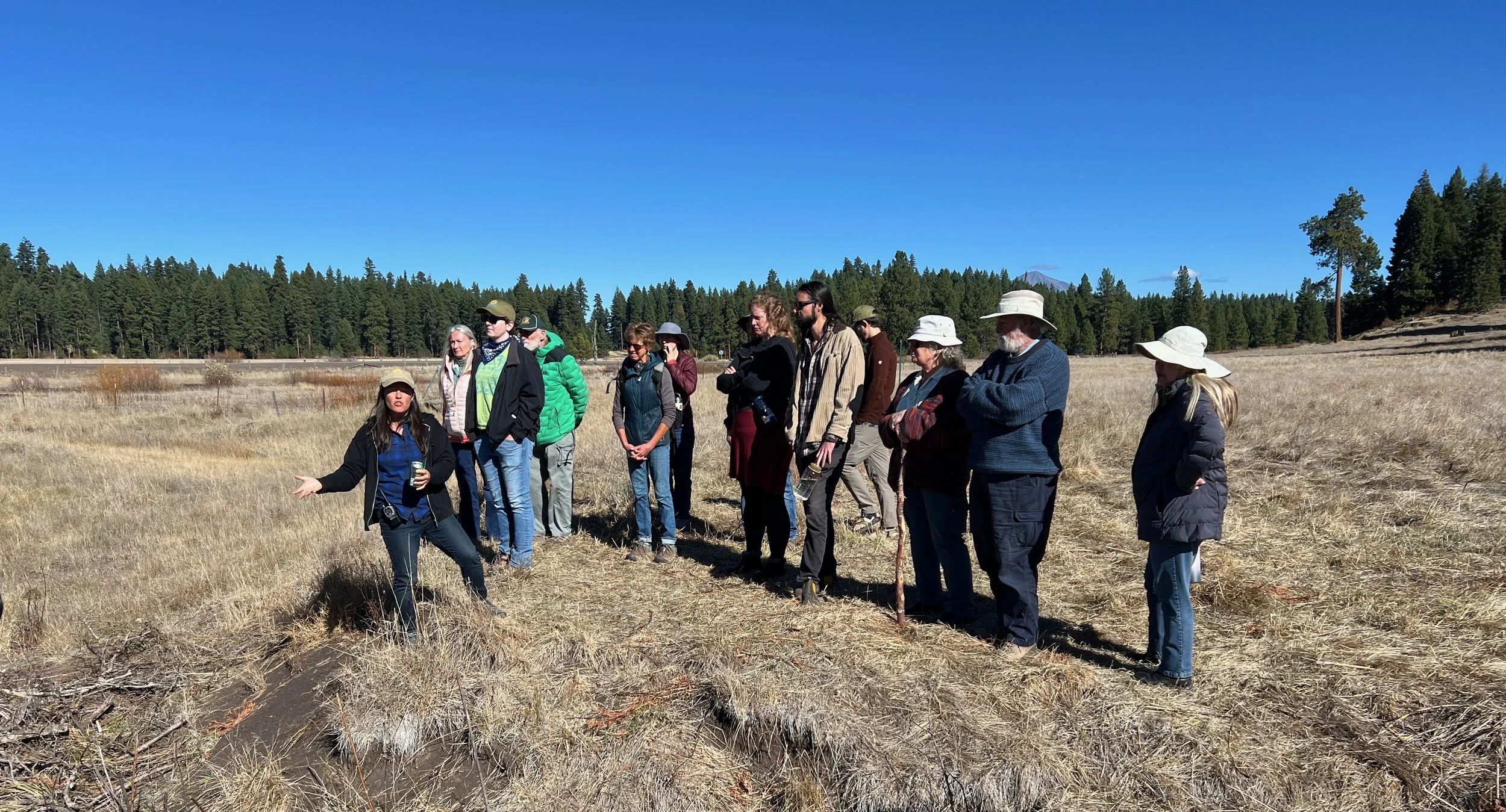 Vision and Values: reflecting on the past and future of Vesper Meadow