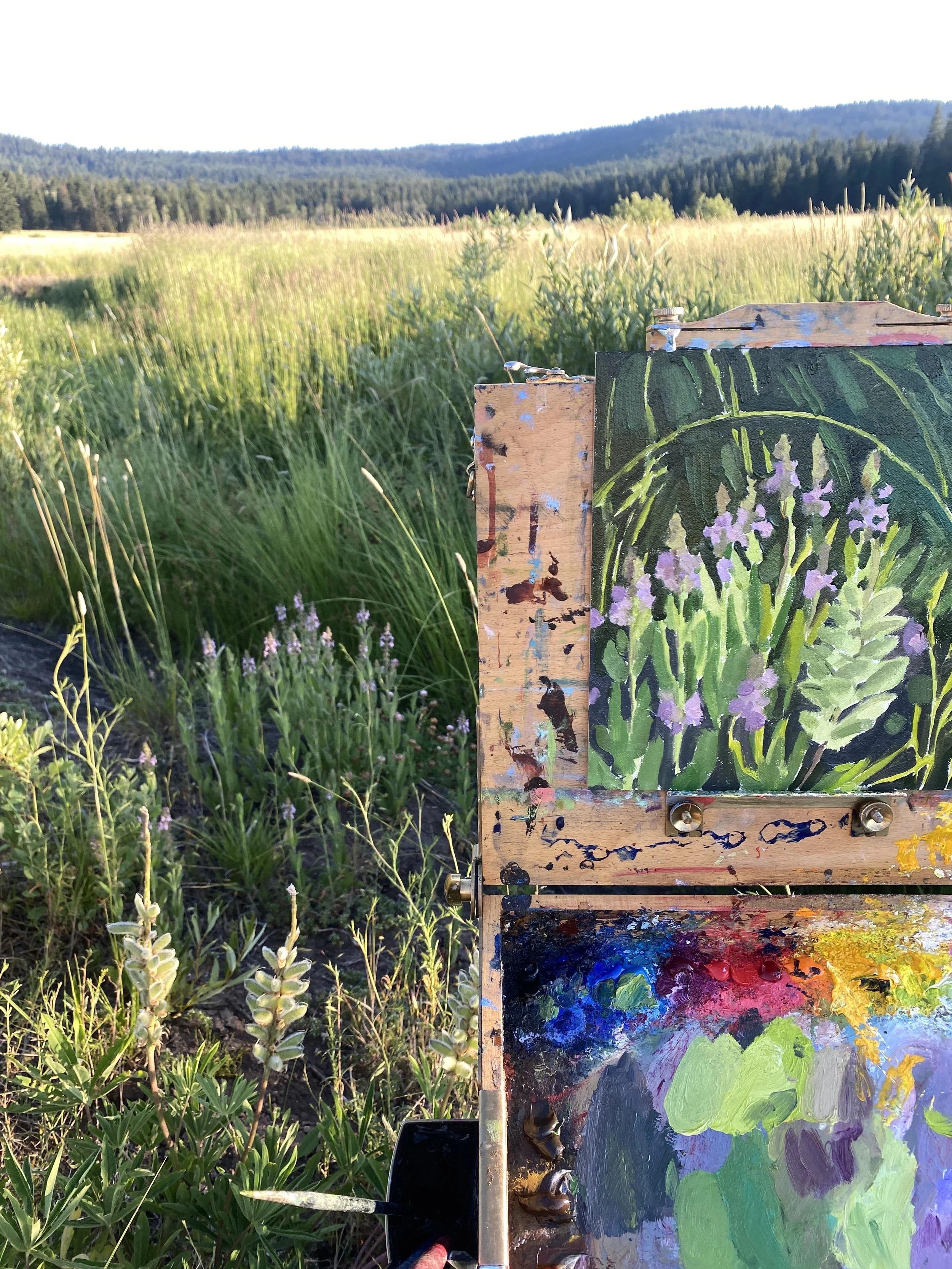 2025 Bovine Beach.JPG