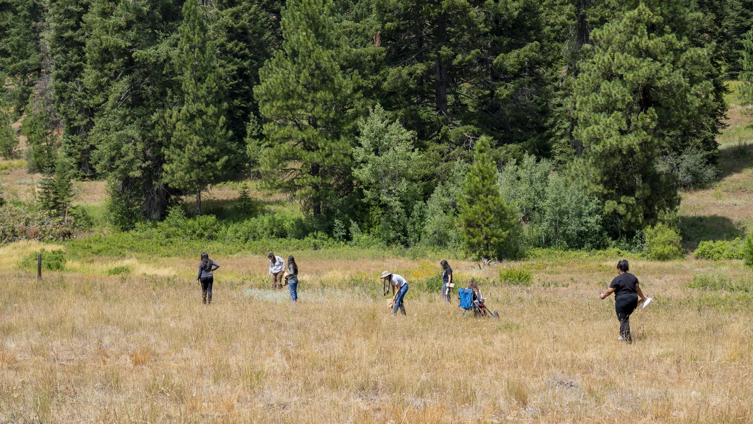 From Land Theft to Land Justice: why land back matters for people and place