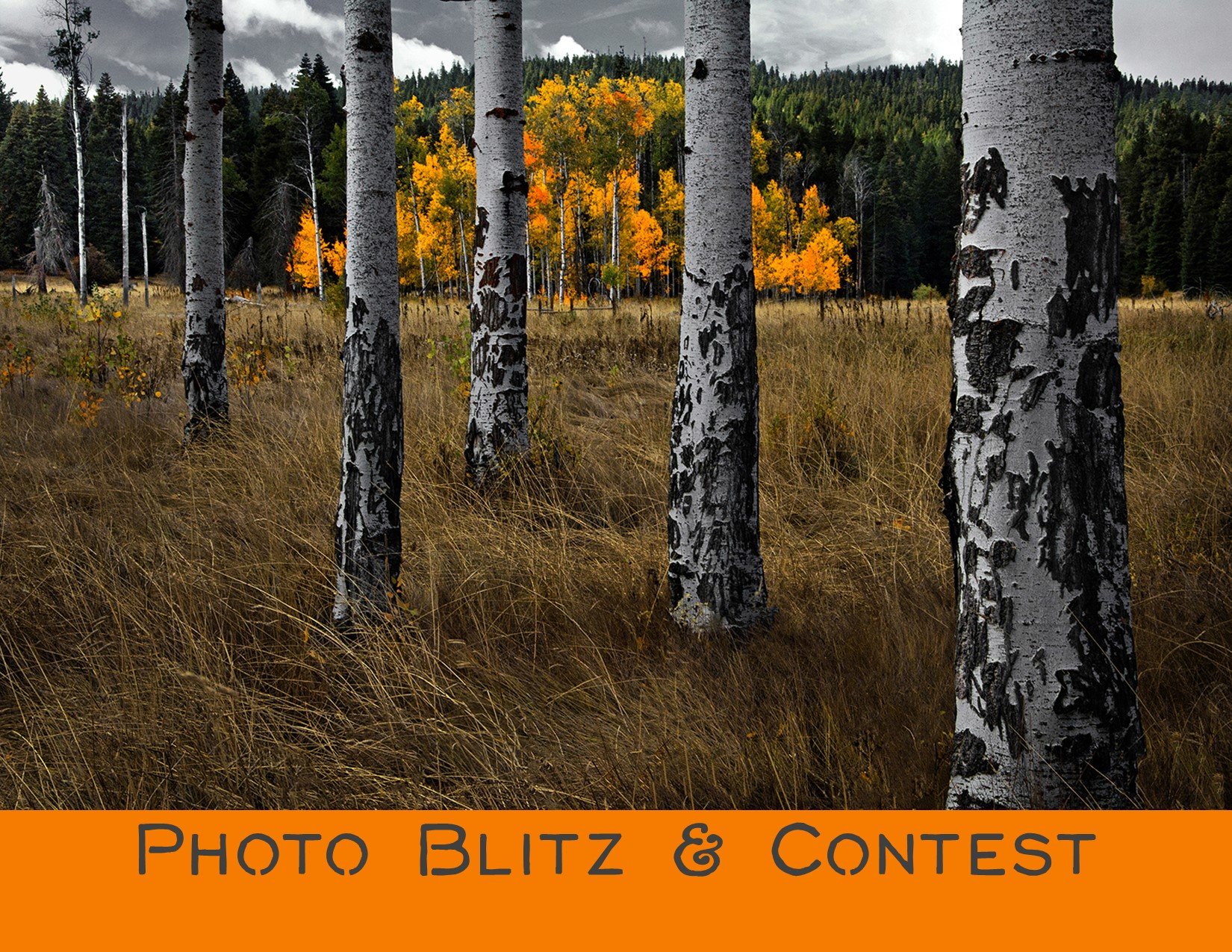 Golden Hour Photo Blitz and all-levels contest