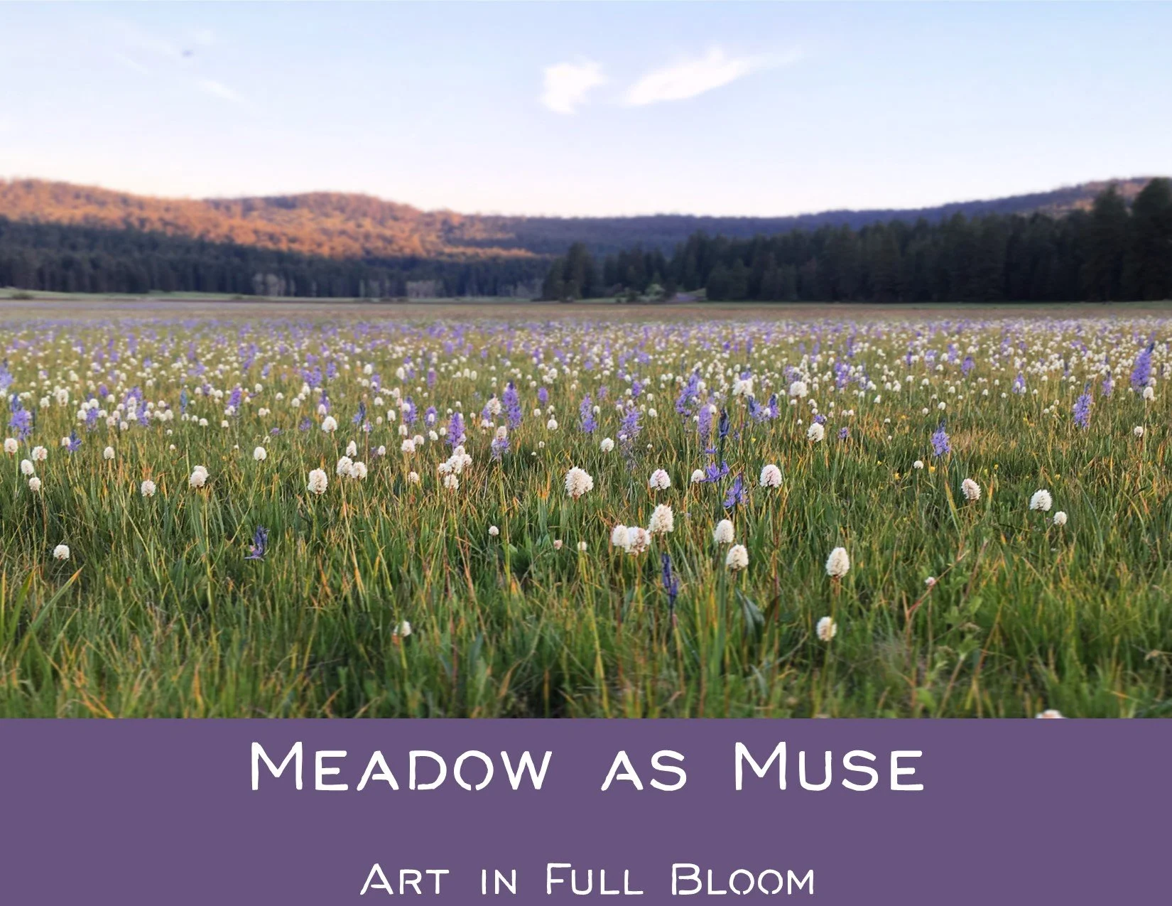 Meadow as Muse: art in full bloom