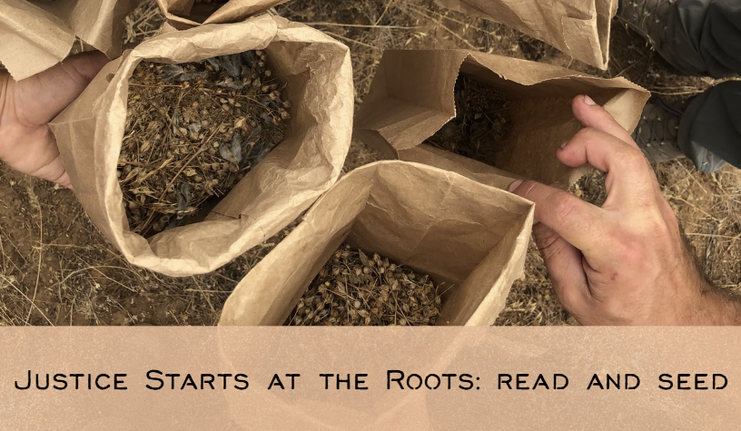 Justice Starts at the Roots: read and seed