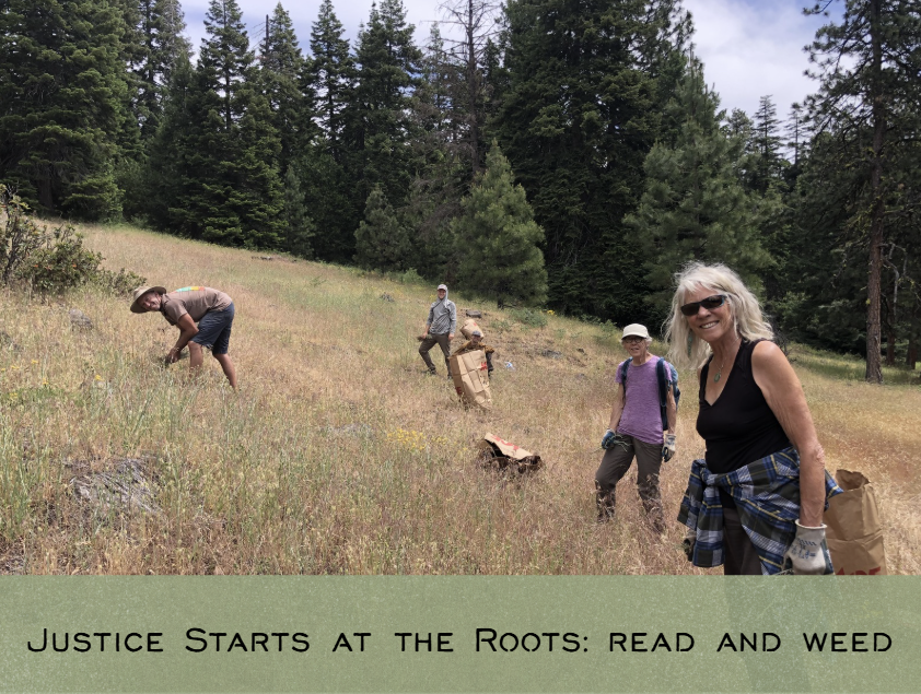 Justice Starts at the Roots: read and weed