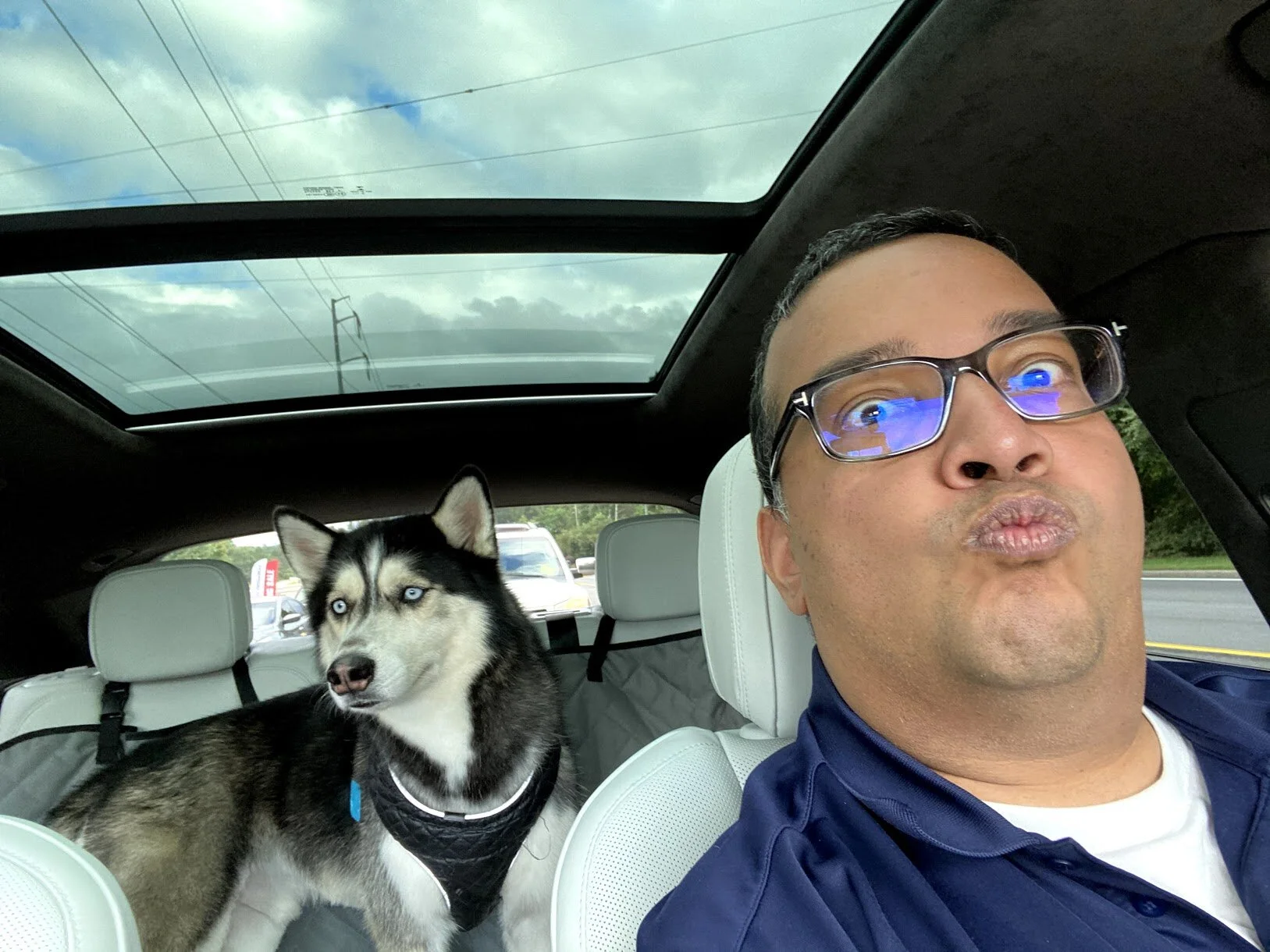 Picking up Kofi from the groomers. He wubs that! [no he does not].