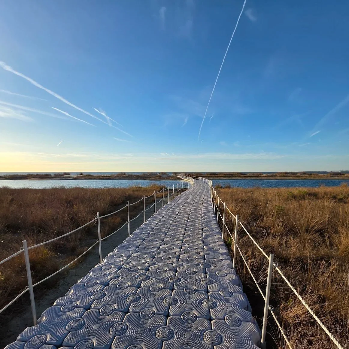 It is Spring 2026 Already - 41 Revolutions Around The Sun