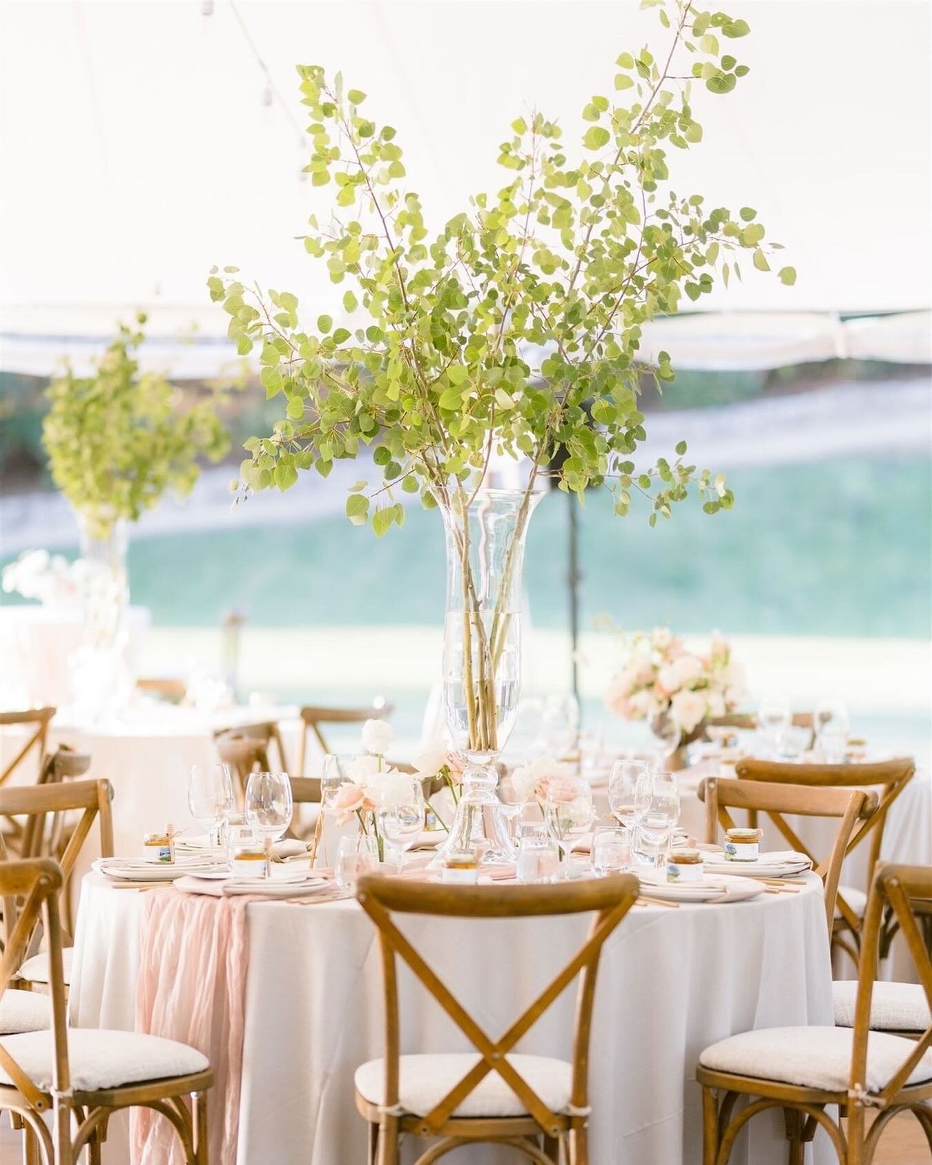 Something so simple yet so impactful. Bringing height and nature into that tent, I wish you could have seen when they danced in the wind, almost like they were singing, it was truly beautiful 😍 
📷 @bokettophotography