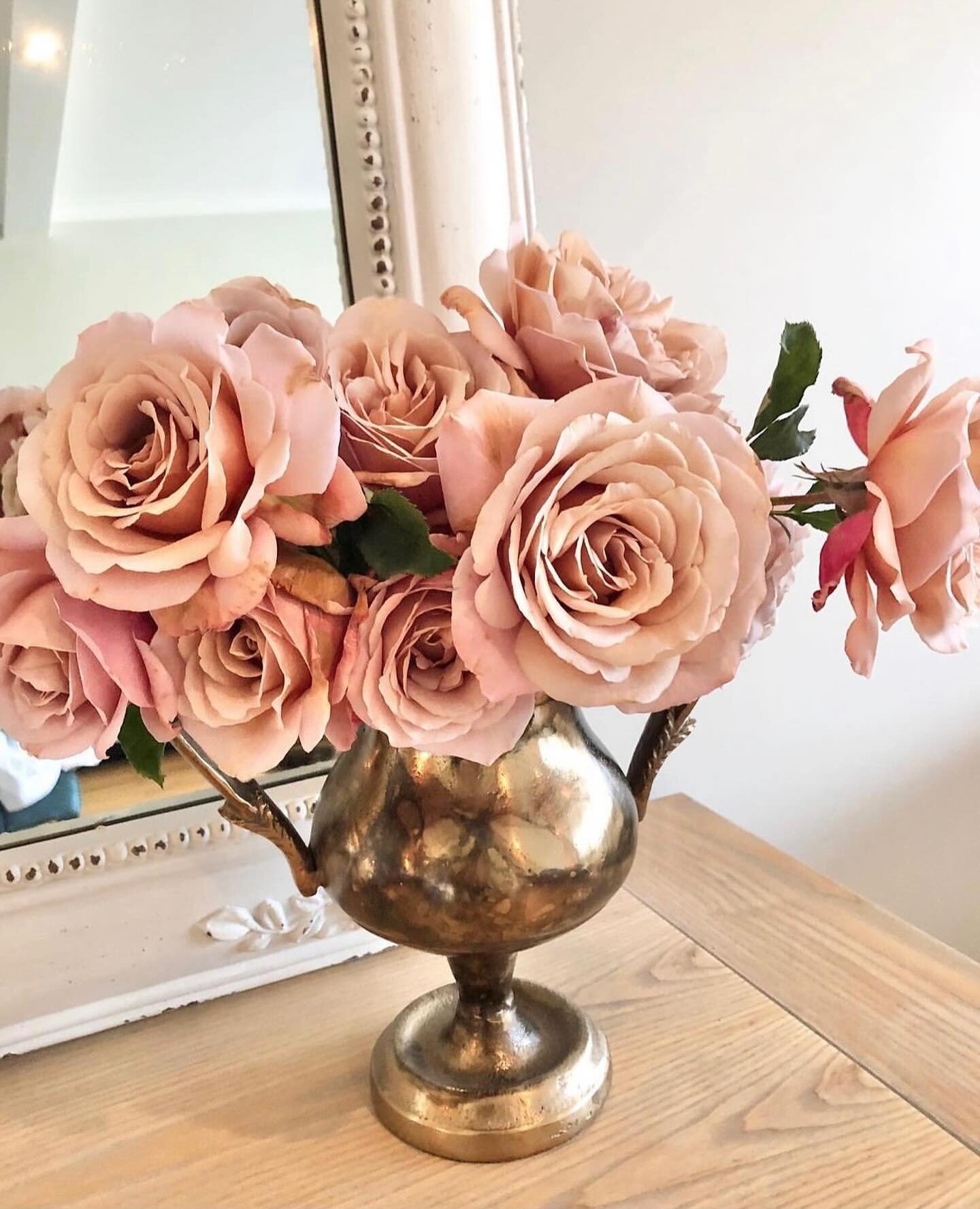 Thought you could use these this Monday morning! A favorite of mine&hellip;. koko loko roses. Hope you have the best week!
