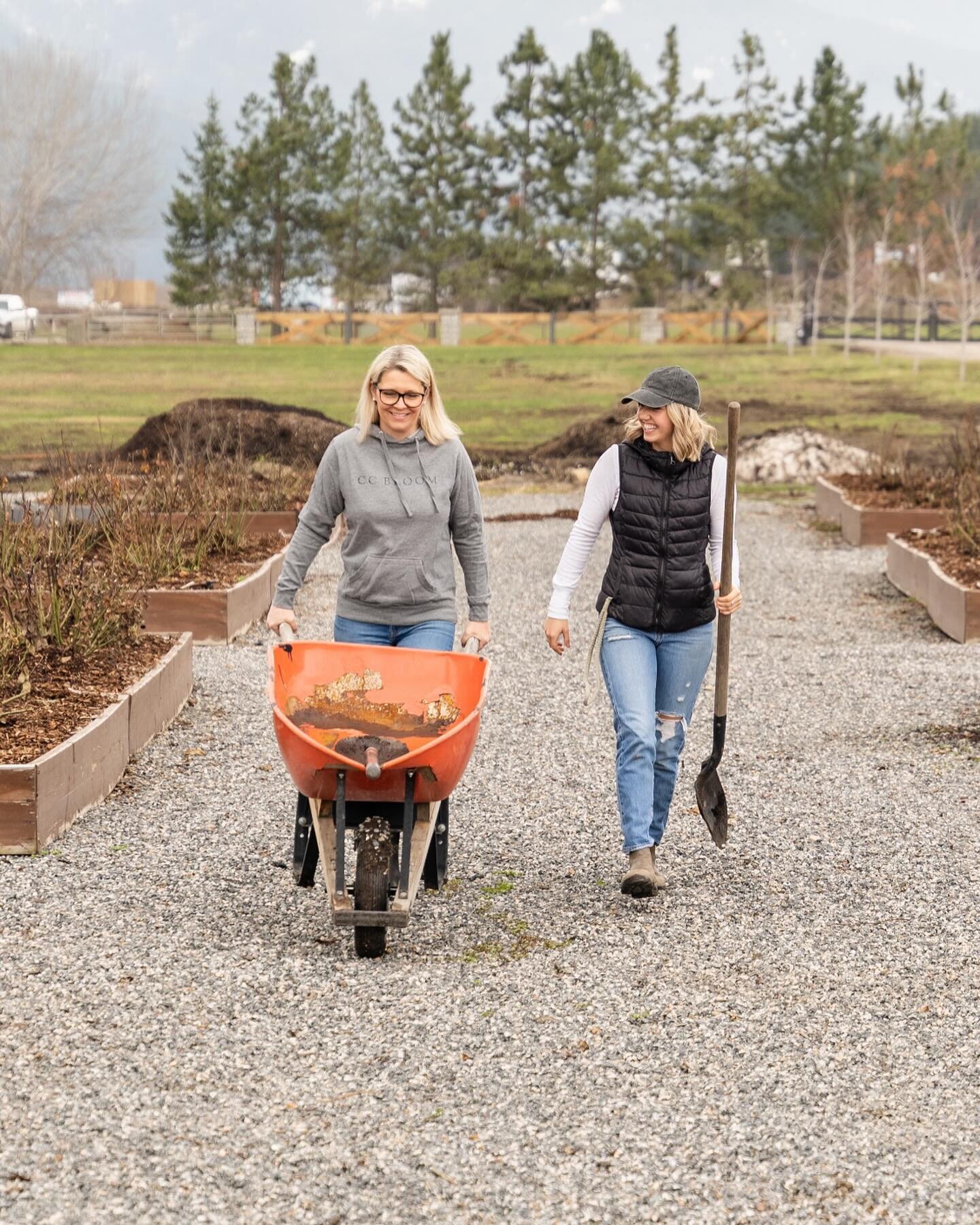 It didn&rsquo;t start out this way&hellip;.
But I am so glad with the way it&rsquo;s turned out. 💕 
Here&rsquo;s a little backstory&hellip; it all started with the veggie garden. Then I wanted to grow some flowers, I had a couple little rows and a w