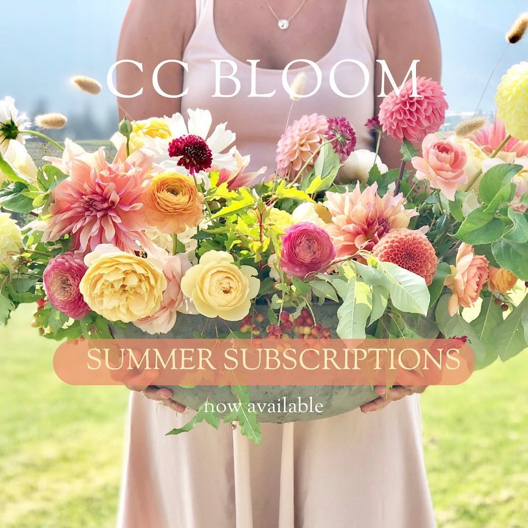 Enjoy 8 glorious weeks throughout the summer with our fresh blooms! We have pickup spots in Vernon and Salmon Arm and of course here at the farm. Each week is customized to a beautiful palette with our ever changing blooms 💕🌸

#ccbloomflowerfarm #o