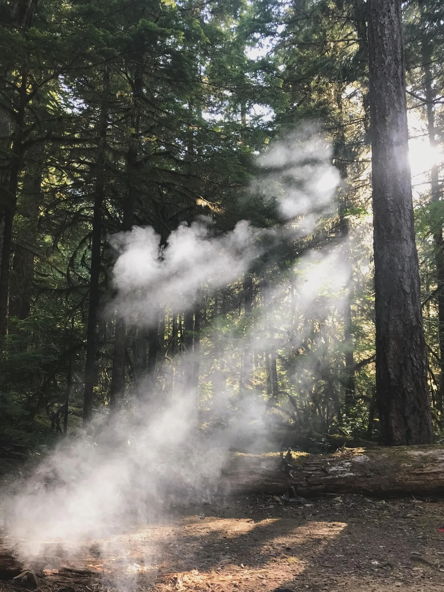 November comes with quiet, liminal energy. The light softens and the air grows still. November invites us into a slower rhythm, a cadence of smoke, tea, and quiet reflection. This is the season to tend the unseen. Your roots, your rest, your dreams. 