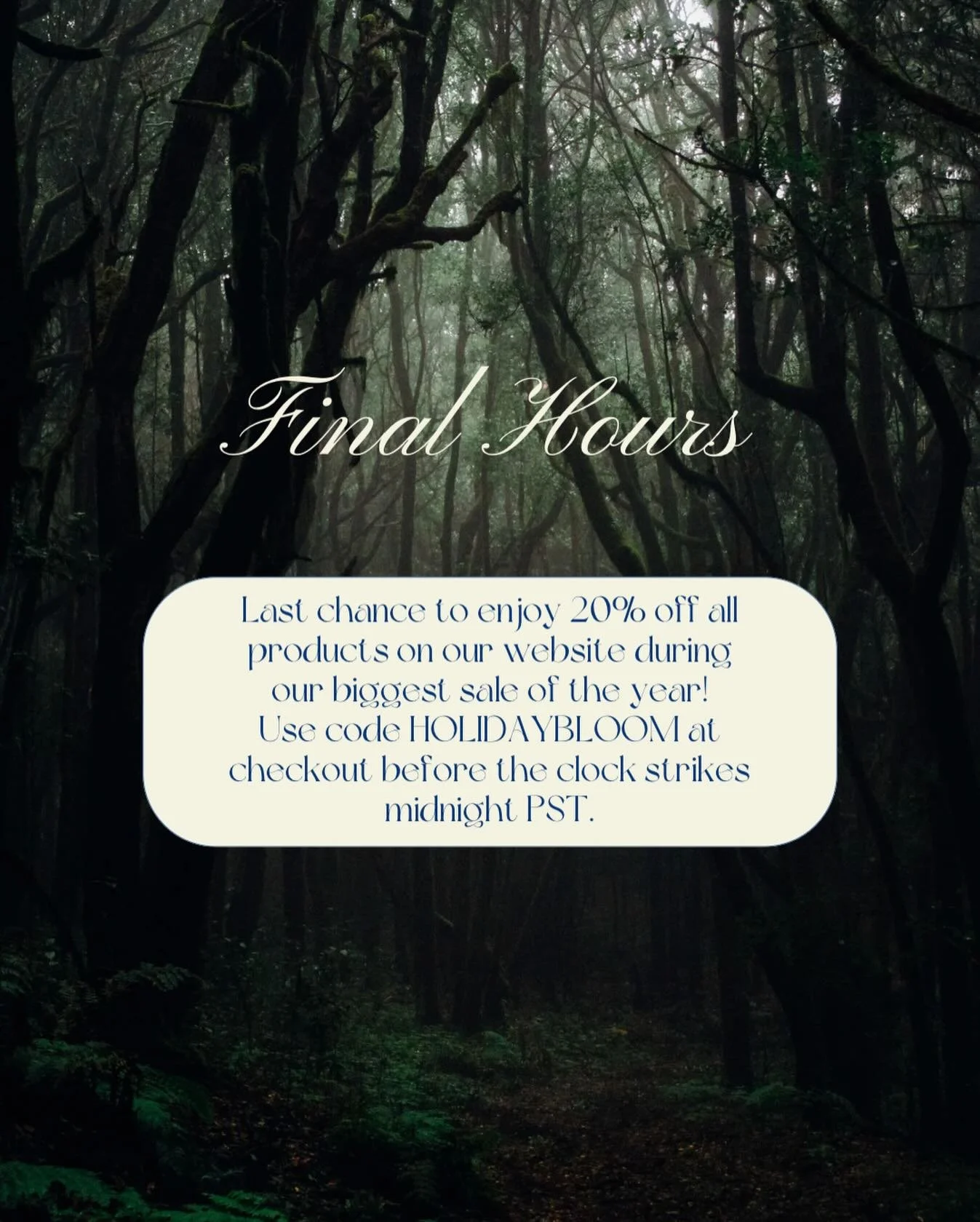 The last hours of our only sale of the season are settling in like dusk through quiet woods. There is a softness to this moment. A brief, rare opening before the year turns inward and the pace slows.

If you&rsquo;ve been waiting to gather your winte
